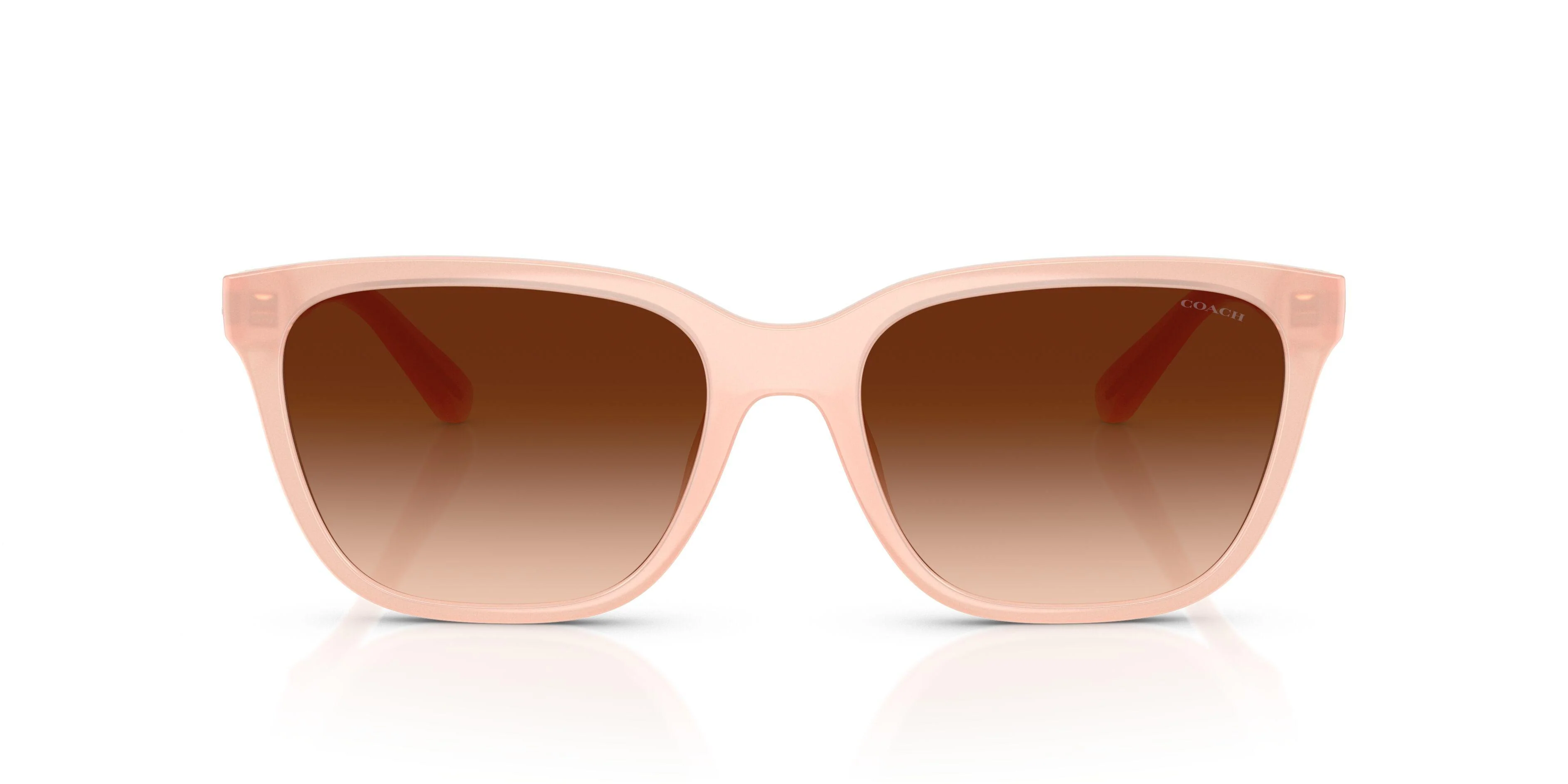 Coach Cae86 8429D Sunglasses - Image 29