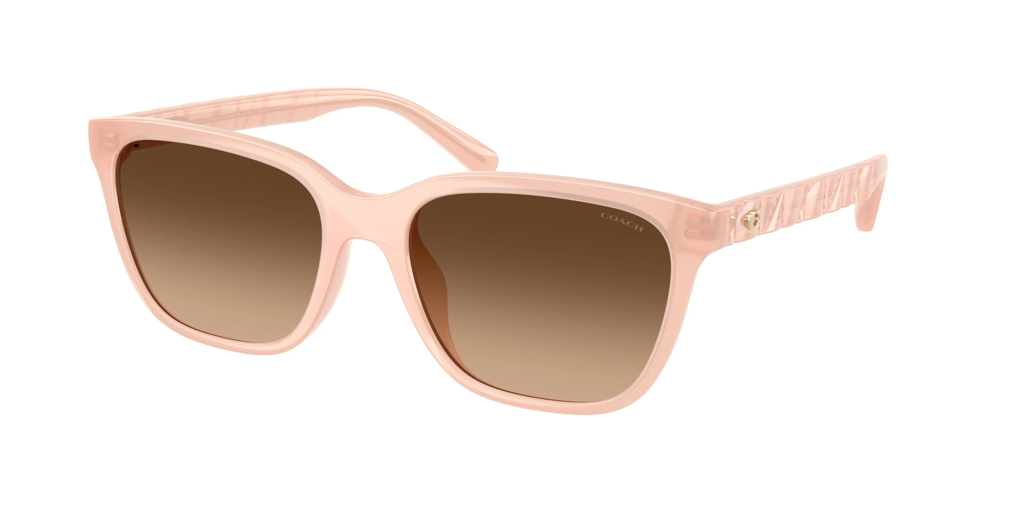 Coach Cae86 8429D Sunglasses - Image 5