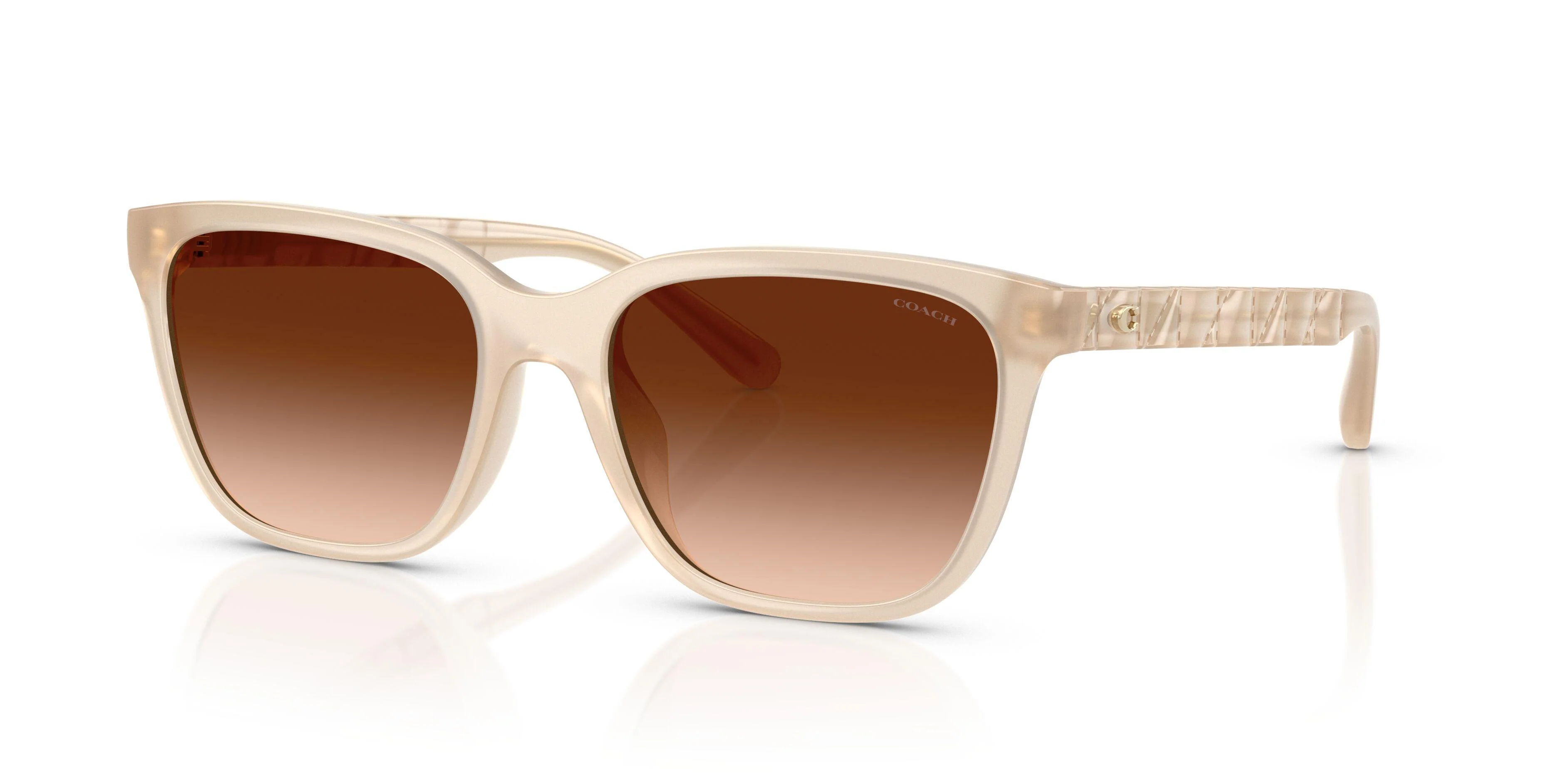 Coach Cae86 8429D Sunglasses - Image 6