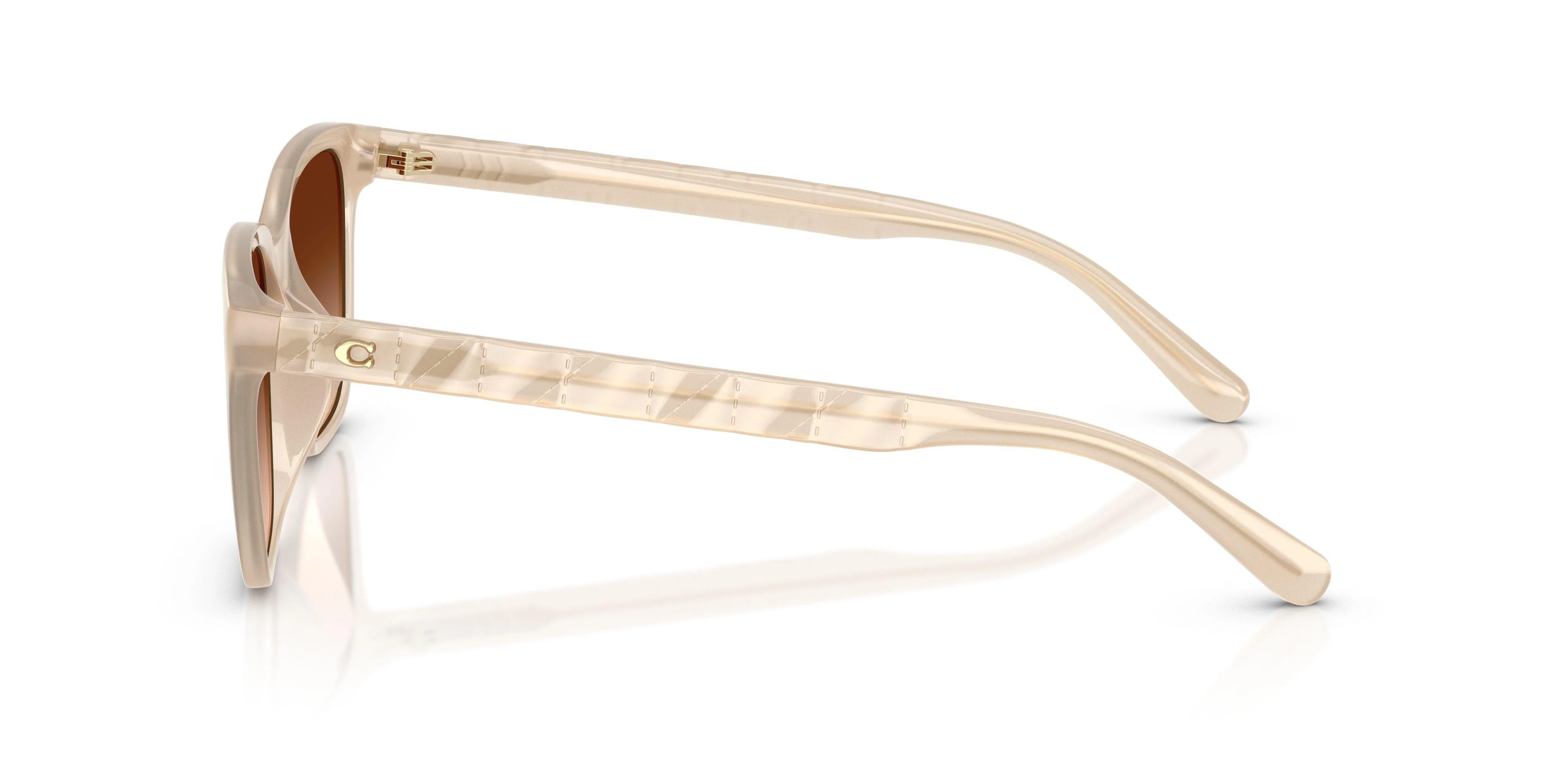 Coach Cae86 8429D Sunglasses - Image 7