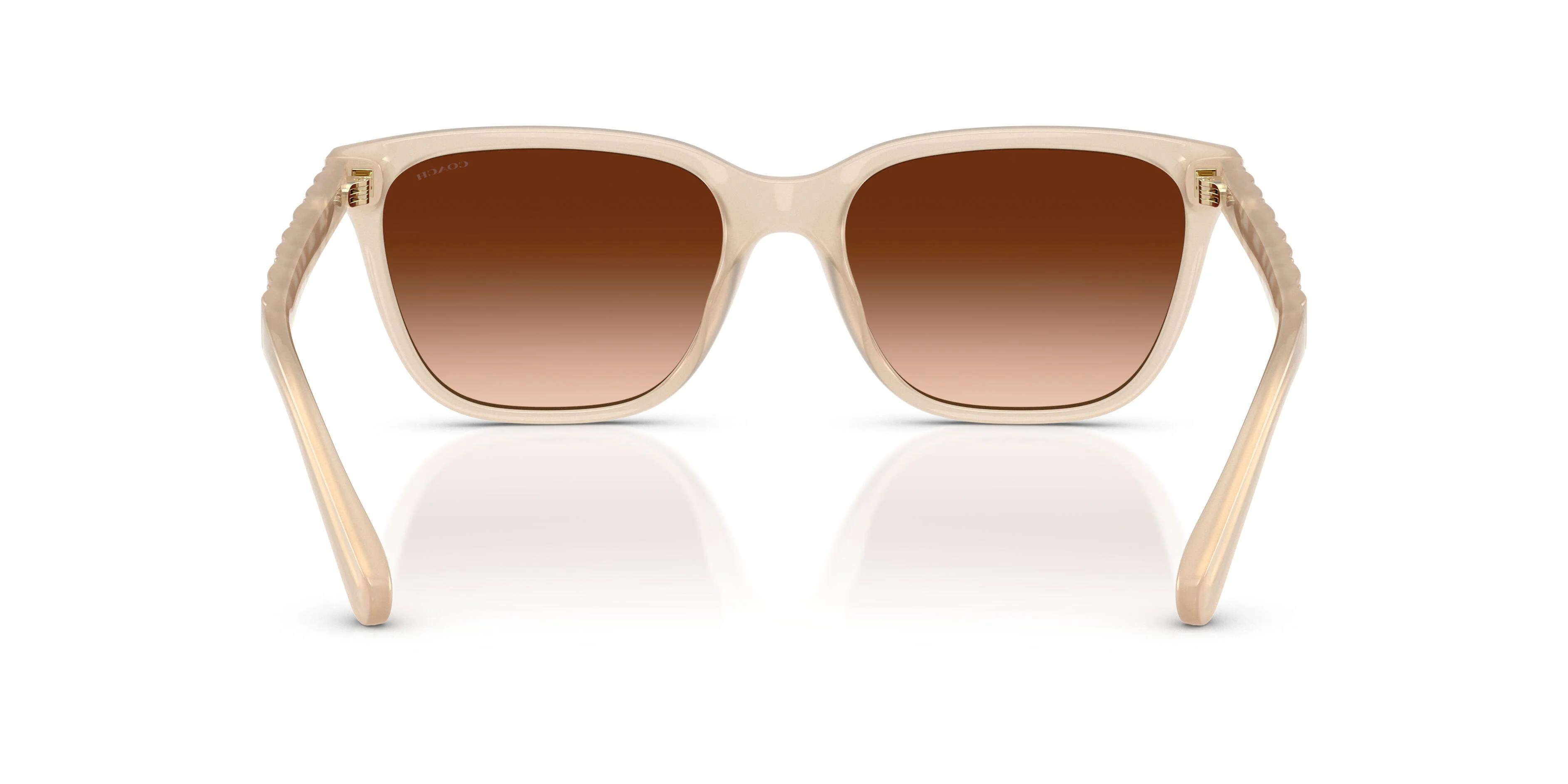 Coach Cae86 8429D Sunglasses - Image 8