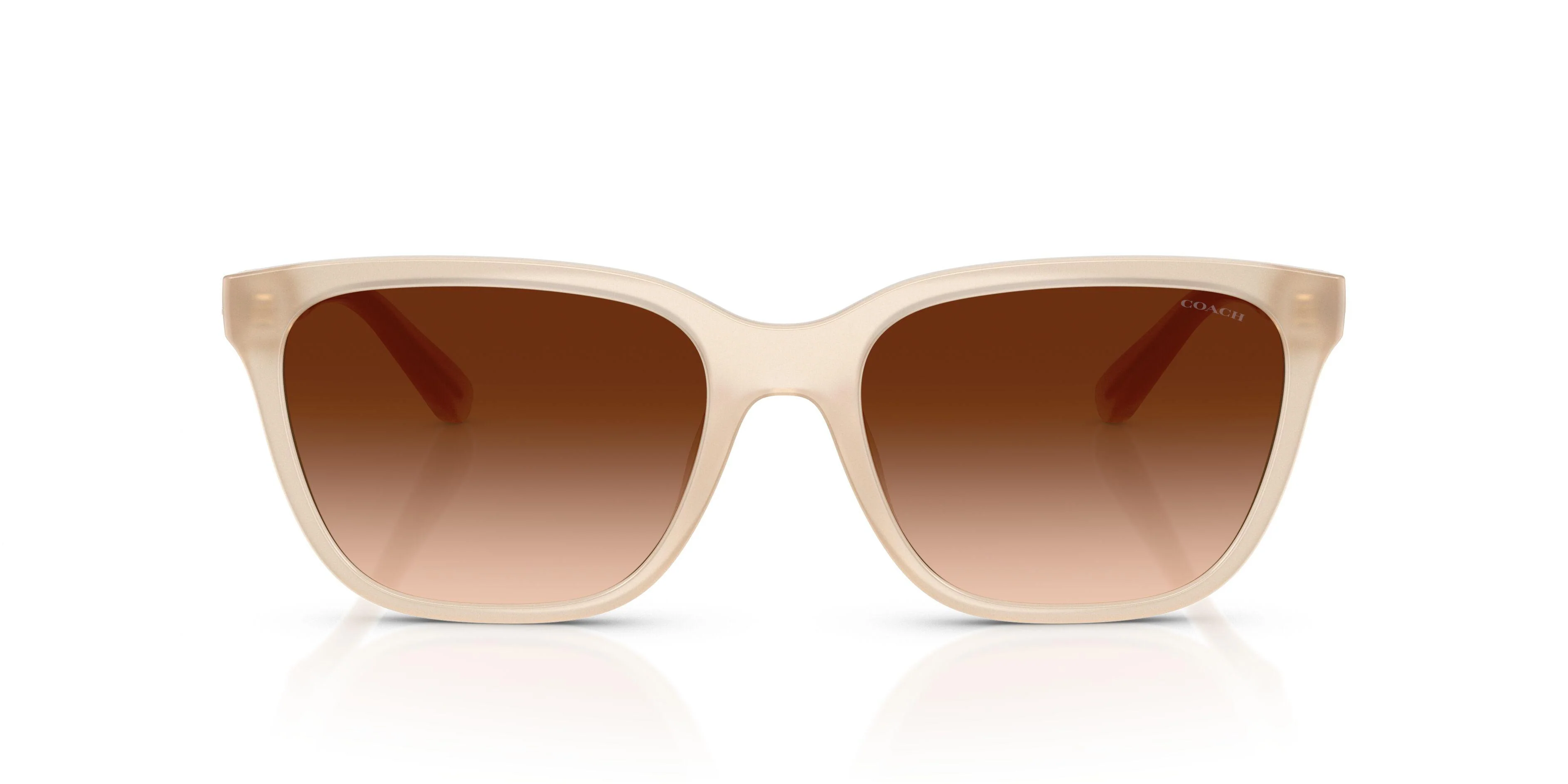 Coach Cae86 8429D Sunglasses - Image 9