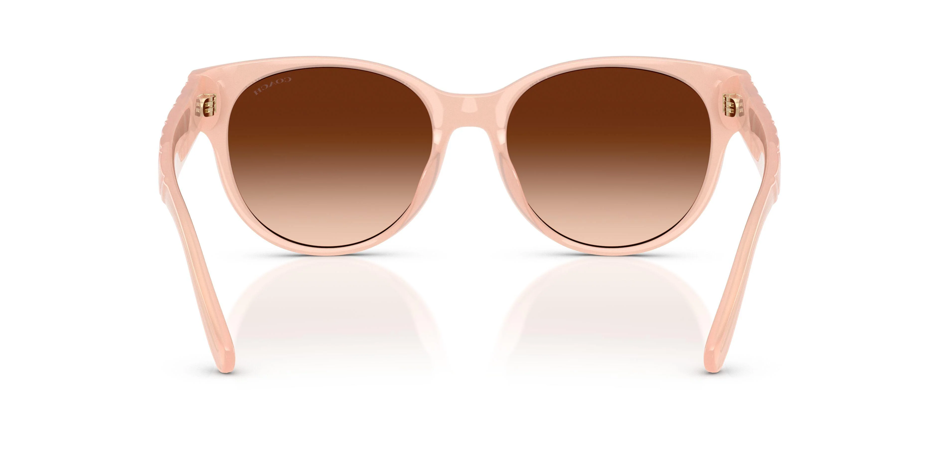 Coach Cae87 8430D Sunglasses - Image 14
