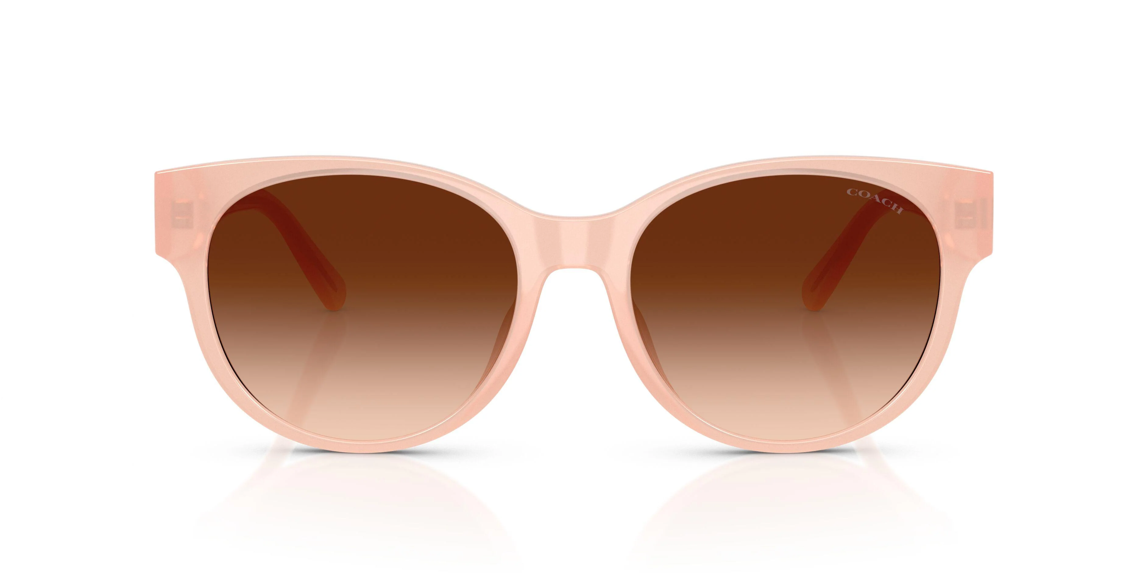 Coach Cae87 8430D Sunglasses - Image 15
