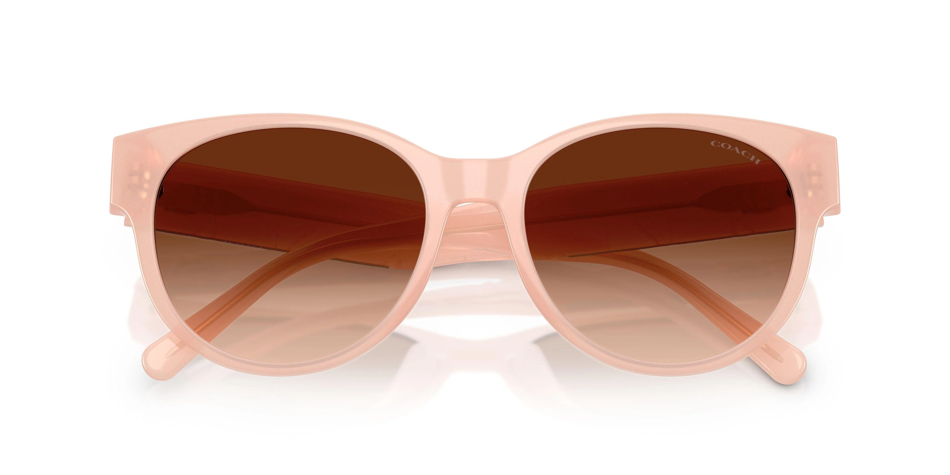 Coach Cae87 8430D Sunglasses - Image 16