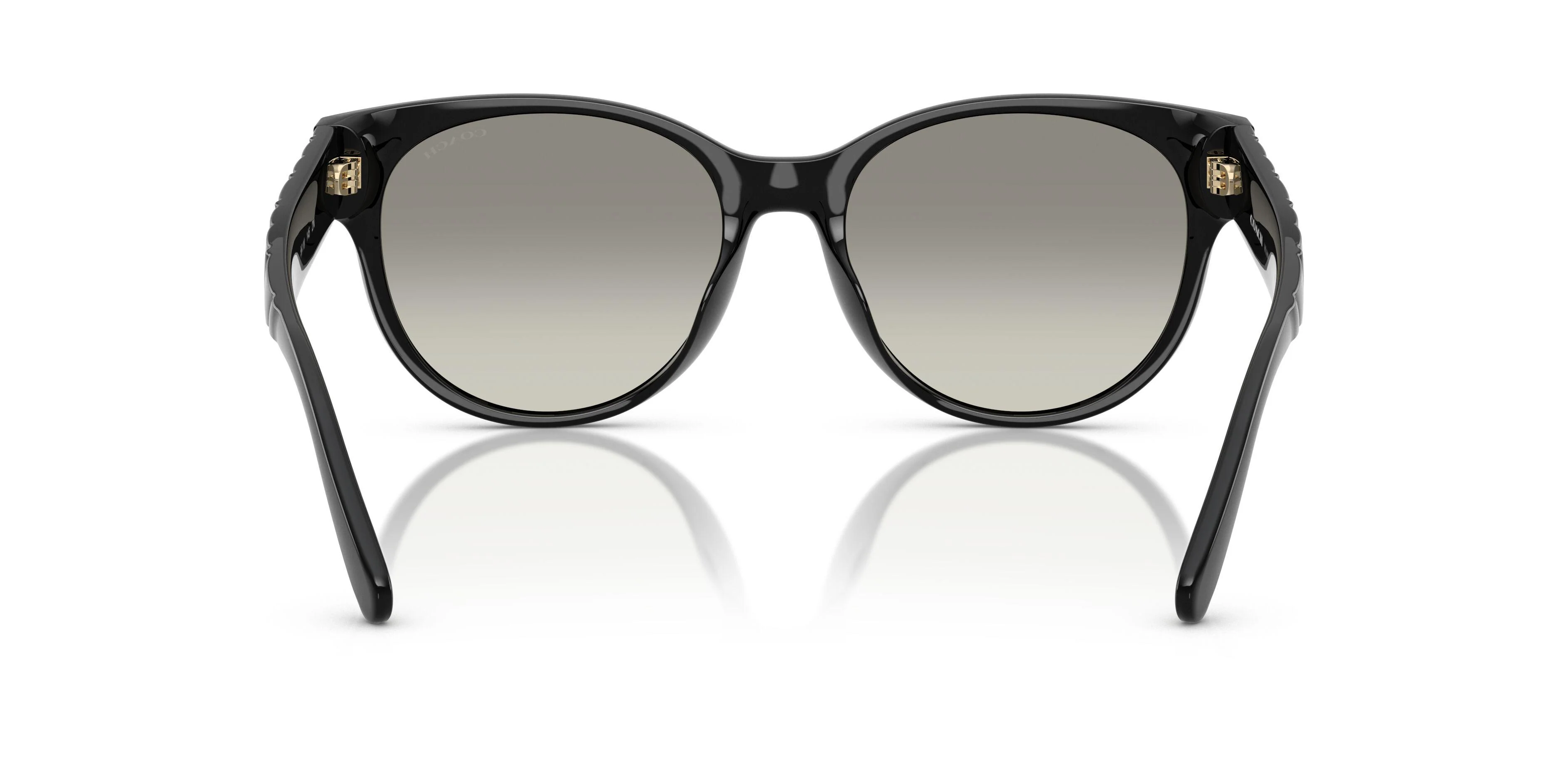 Coach Cae87 8430D Sunglasses - Image 19
