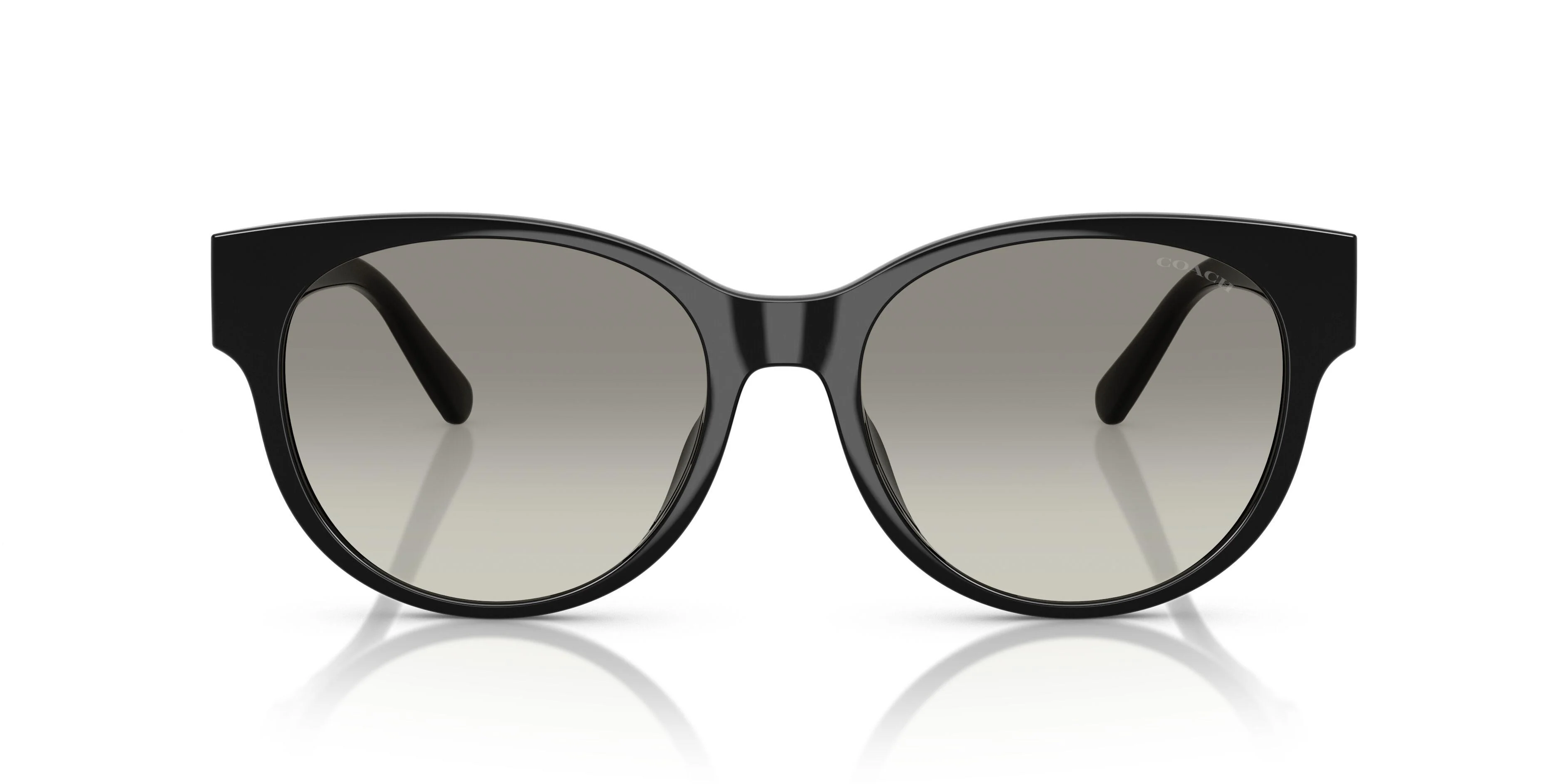Coach Cae87 8430D Sunglasses - Image 20