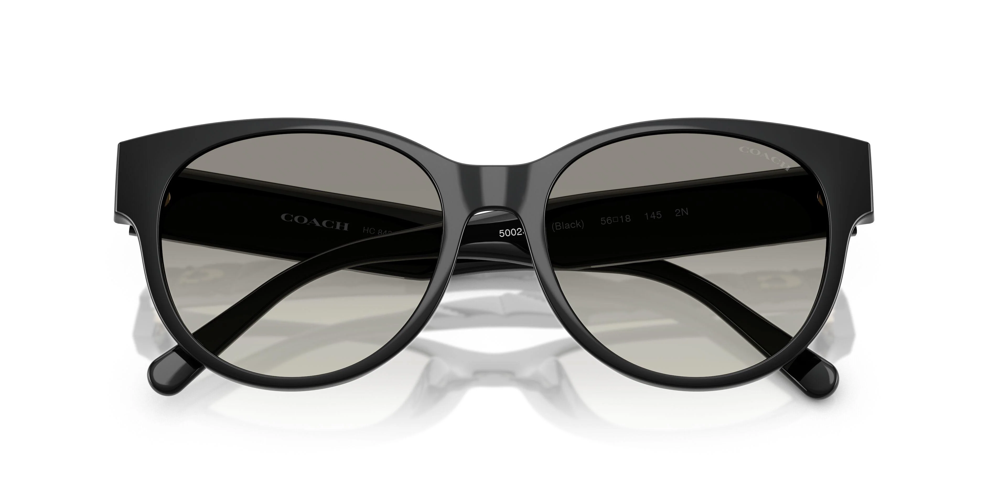 Coach Cae87 8430D Sunglasses - Image 21