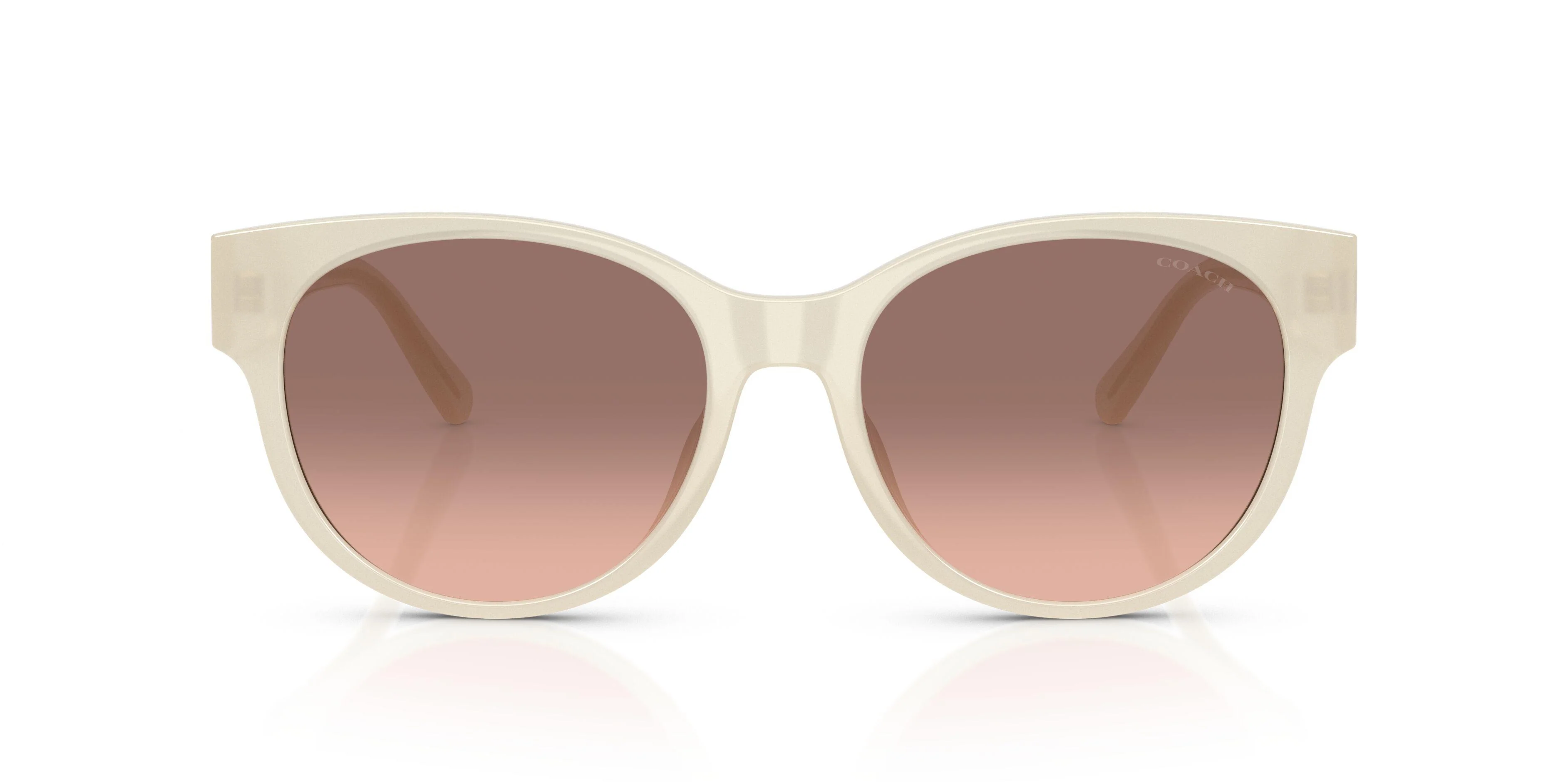 Coach Cae87 8430D Sunglasses - Image 25