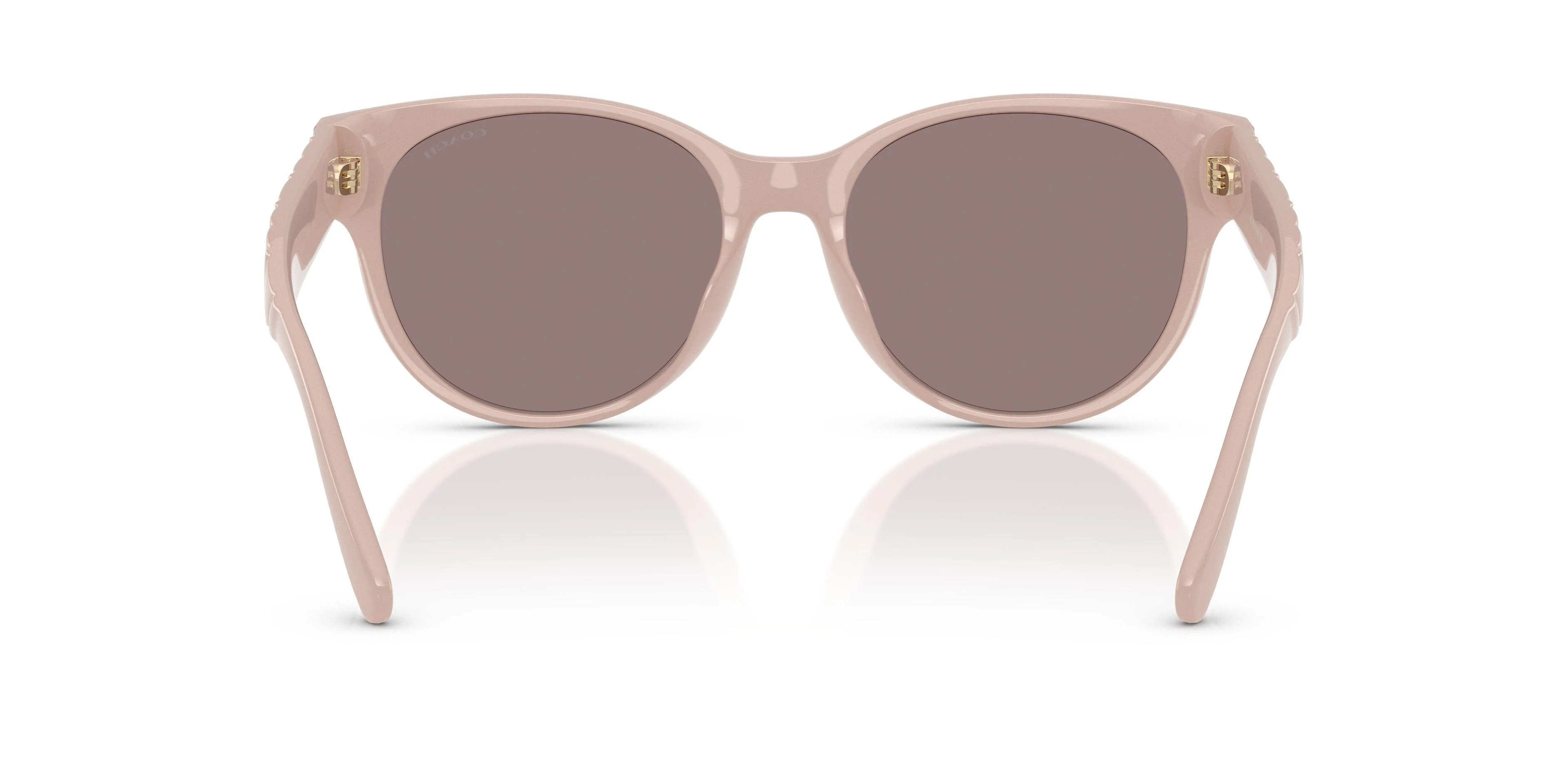 Coach Cae87 8430D Sunglasses - Image 35