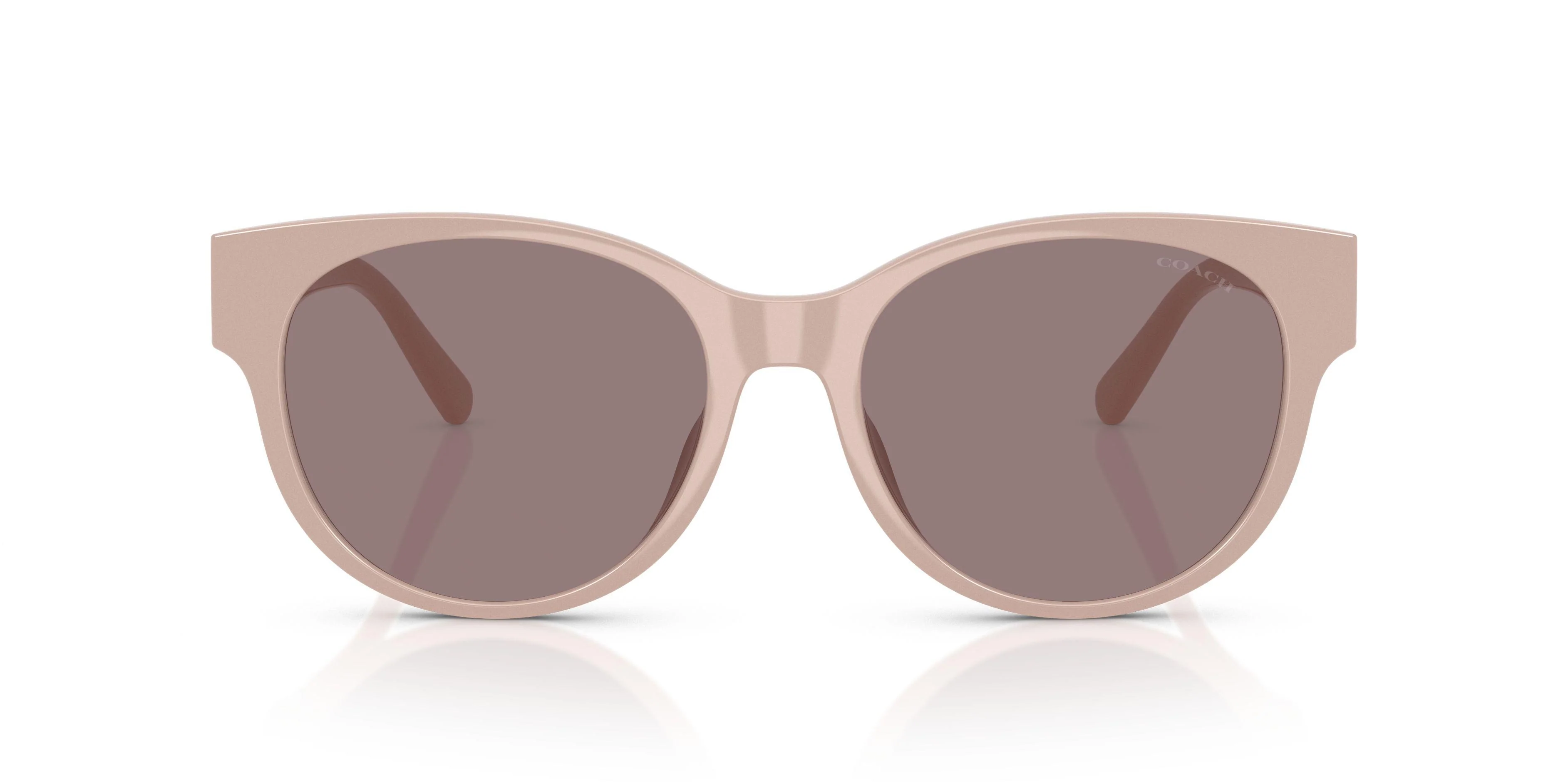 Coach Cae87 8430D Sunglasses - Image 36