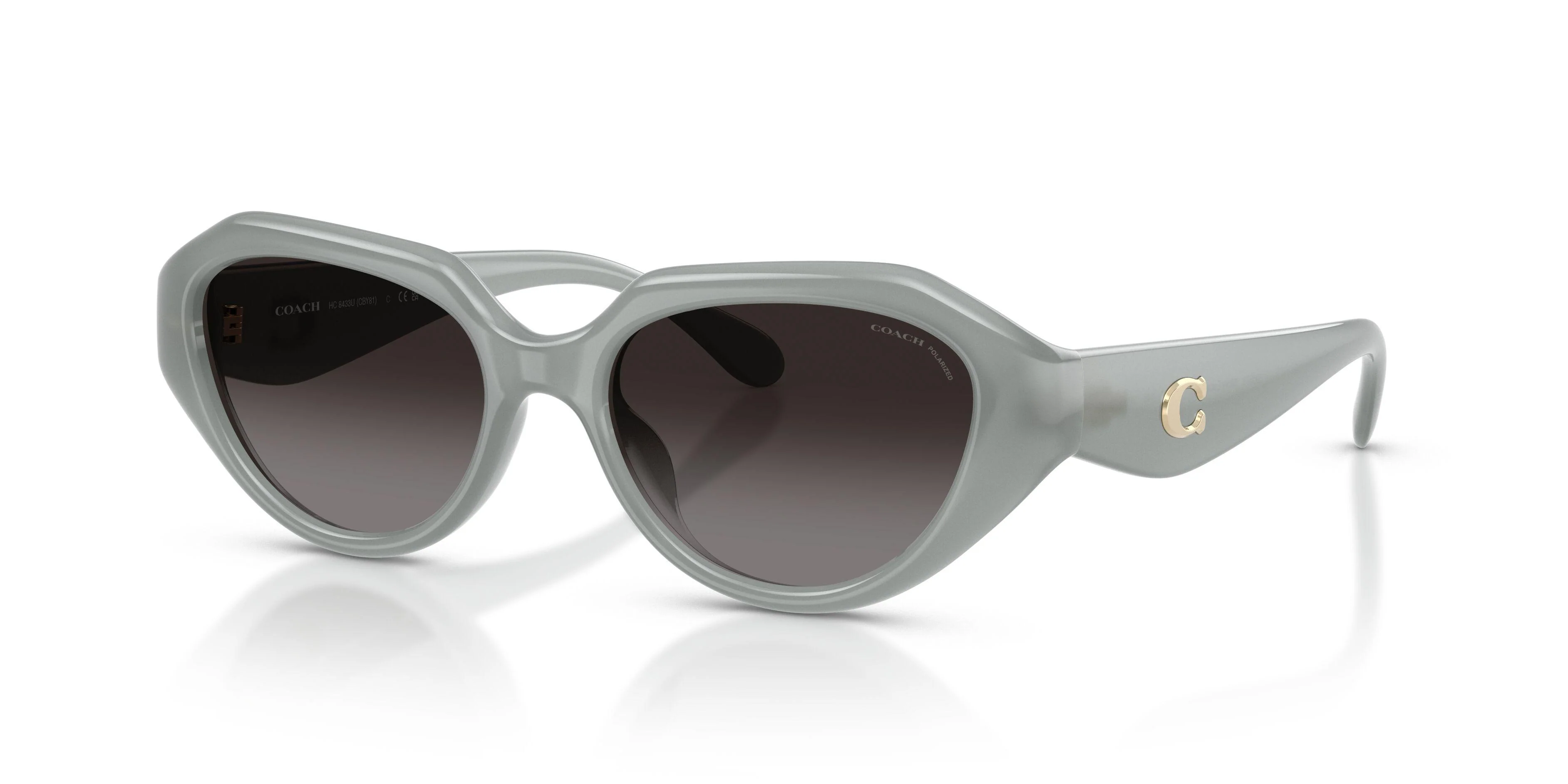 Coach Cby77 8433U Sunglasses - Image 11