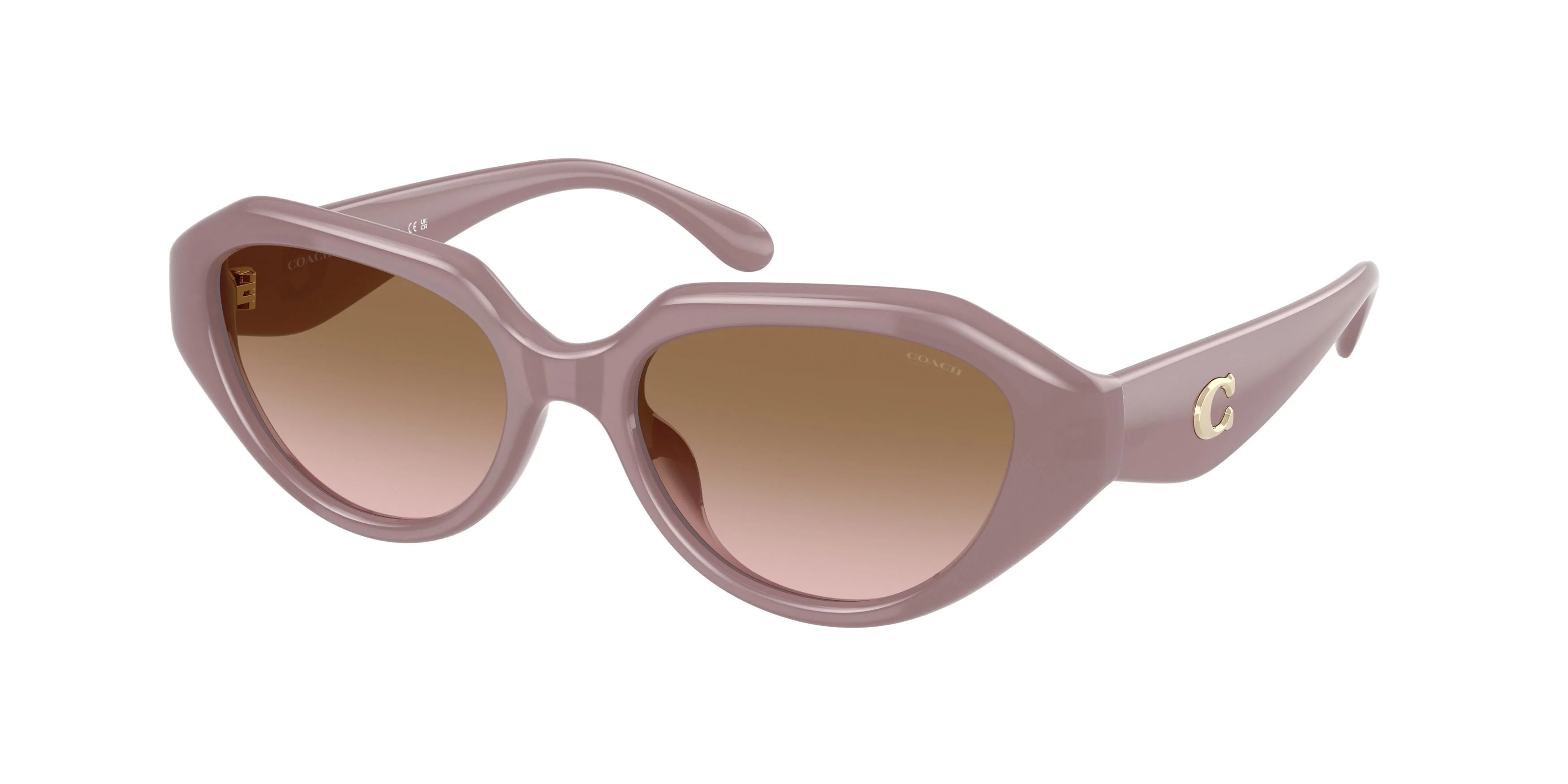 Coach Cby77 8433U Sunglasses - Image 5