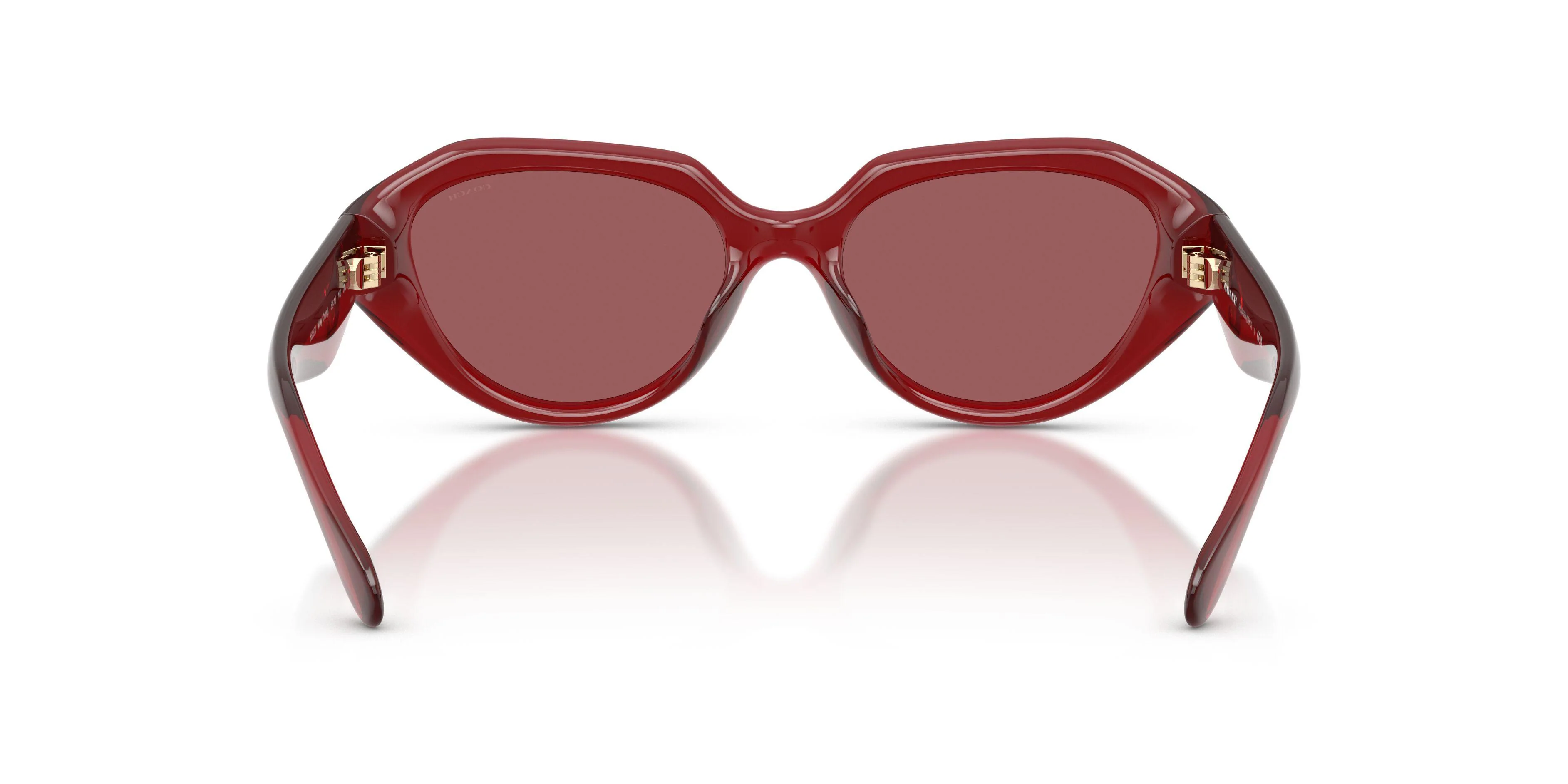 Coach Cby77 8433U Sunglasses - Image 8
