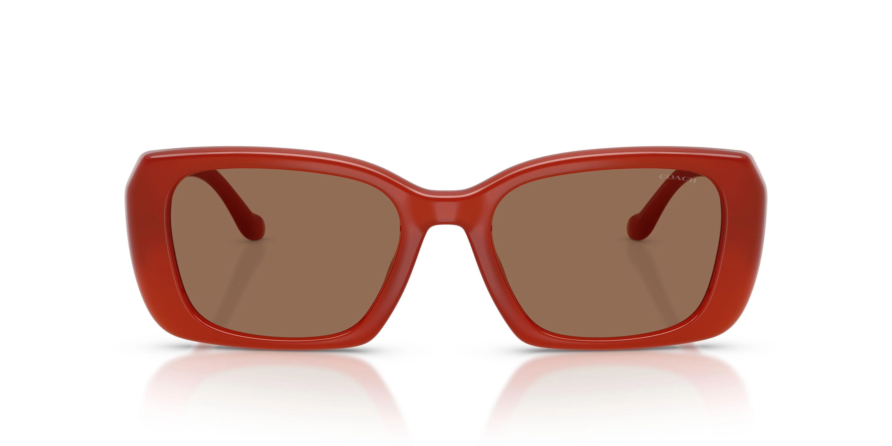 Coach Cby82 8435U Sunglasses - Image 10