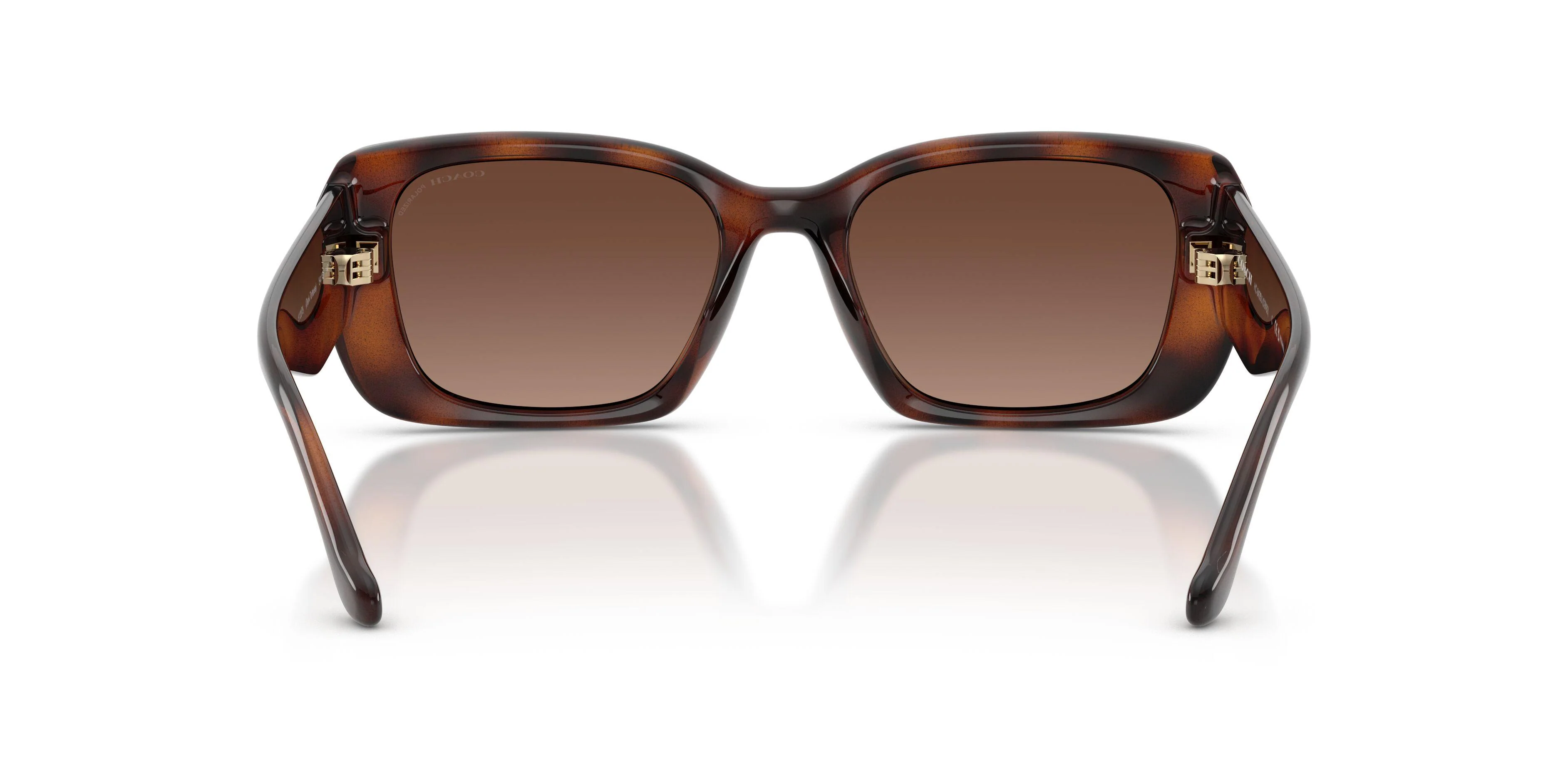 Coach Cby82 8435U Sunglasses - Image 24