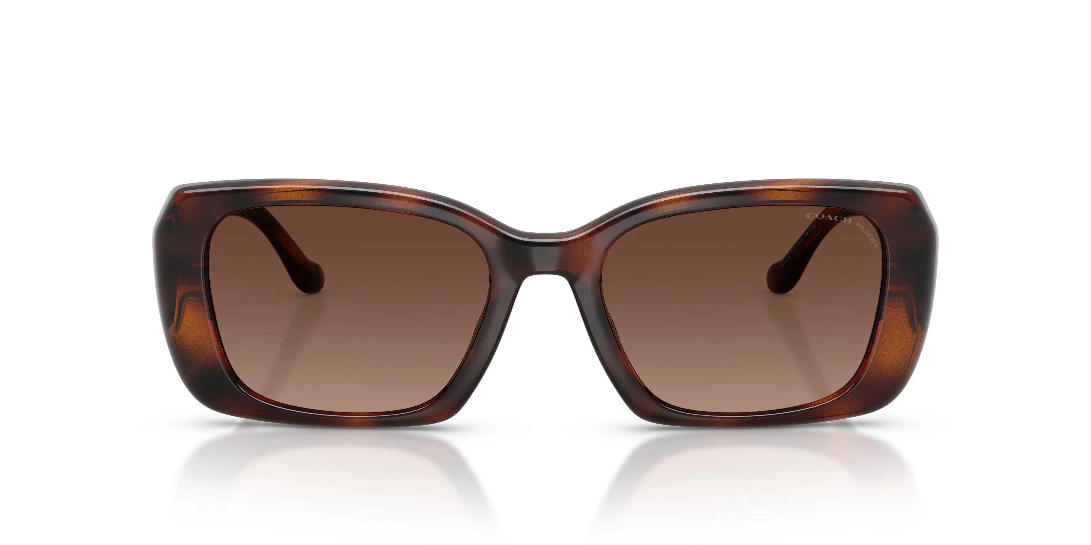 Coach Cby82 8435U Sunglasses - Image 25