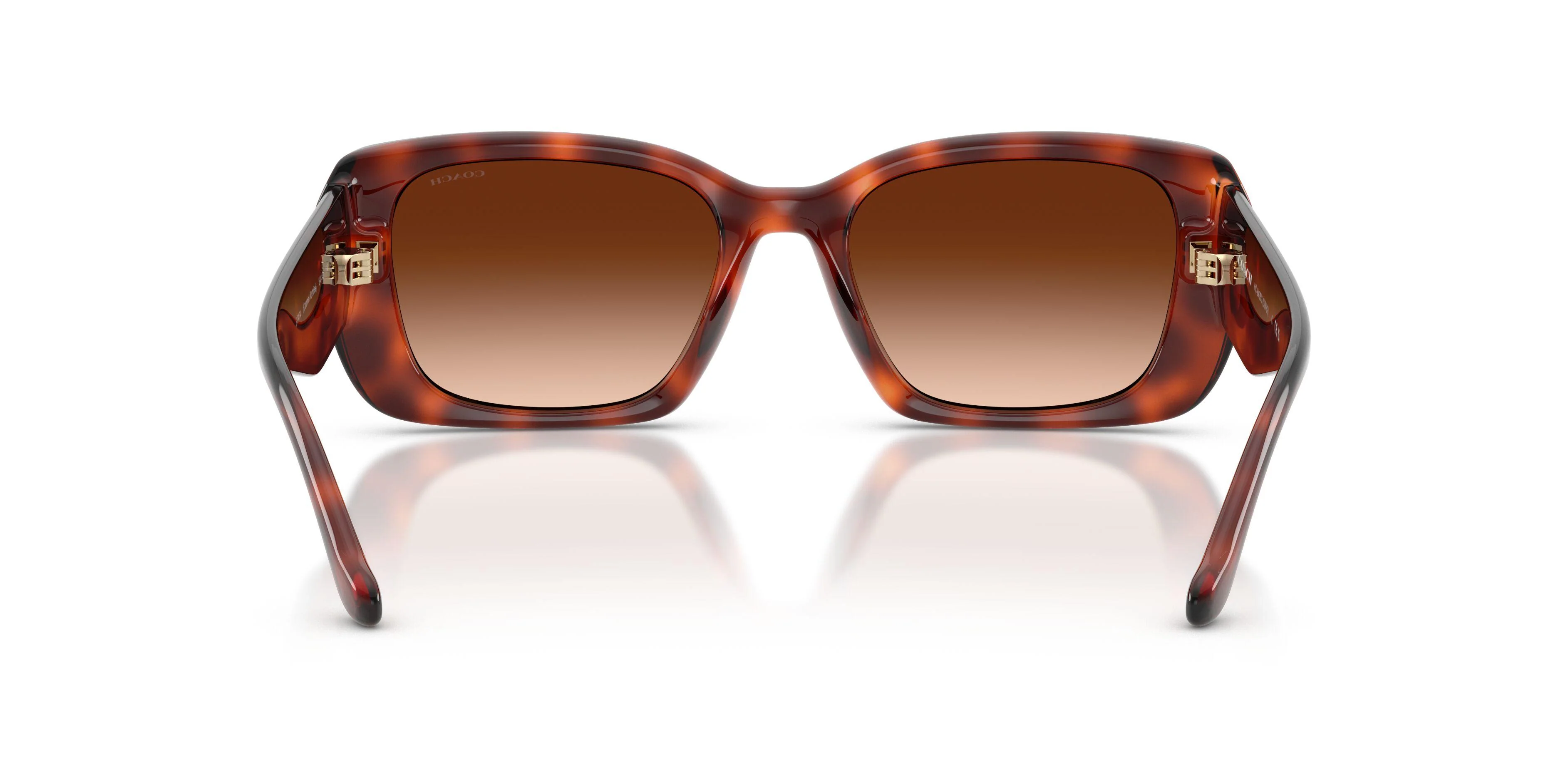 Coach Cby82 8435U Sunglasses - Image 29