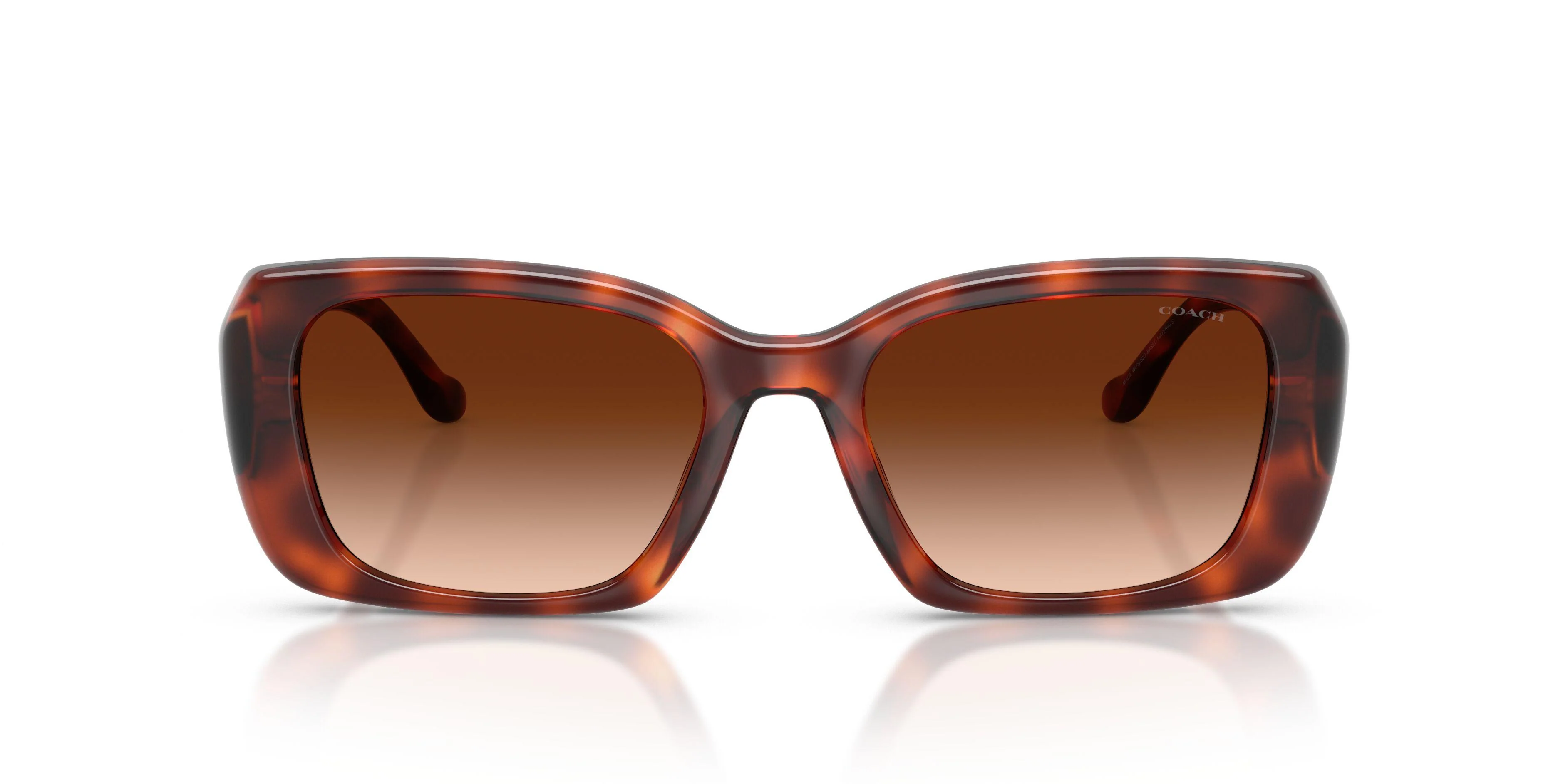 Coach Cby82 8435U Sunglasses - Image 30