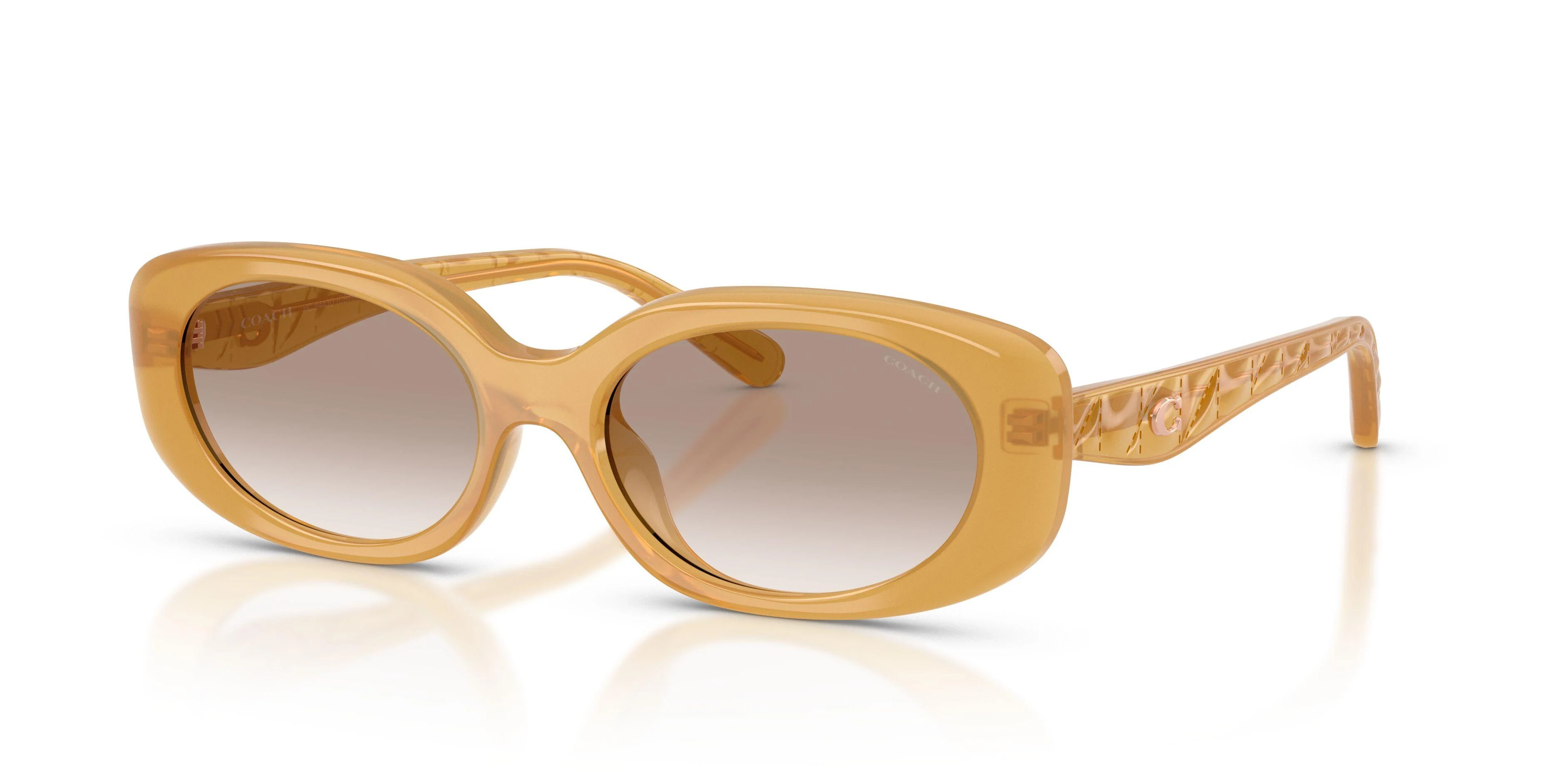 Coach Cby84 8443D Sunglasses - Image 10