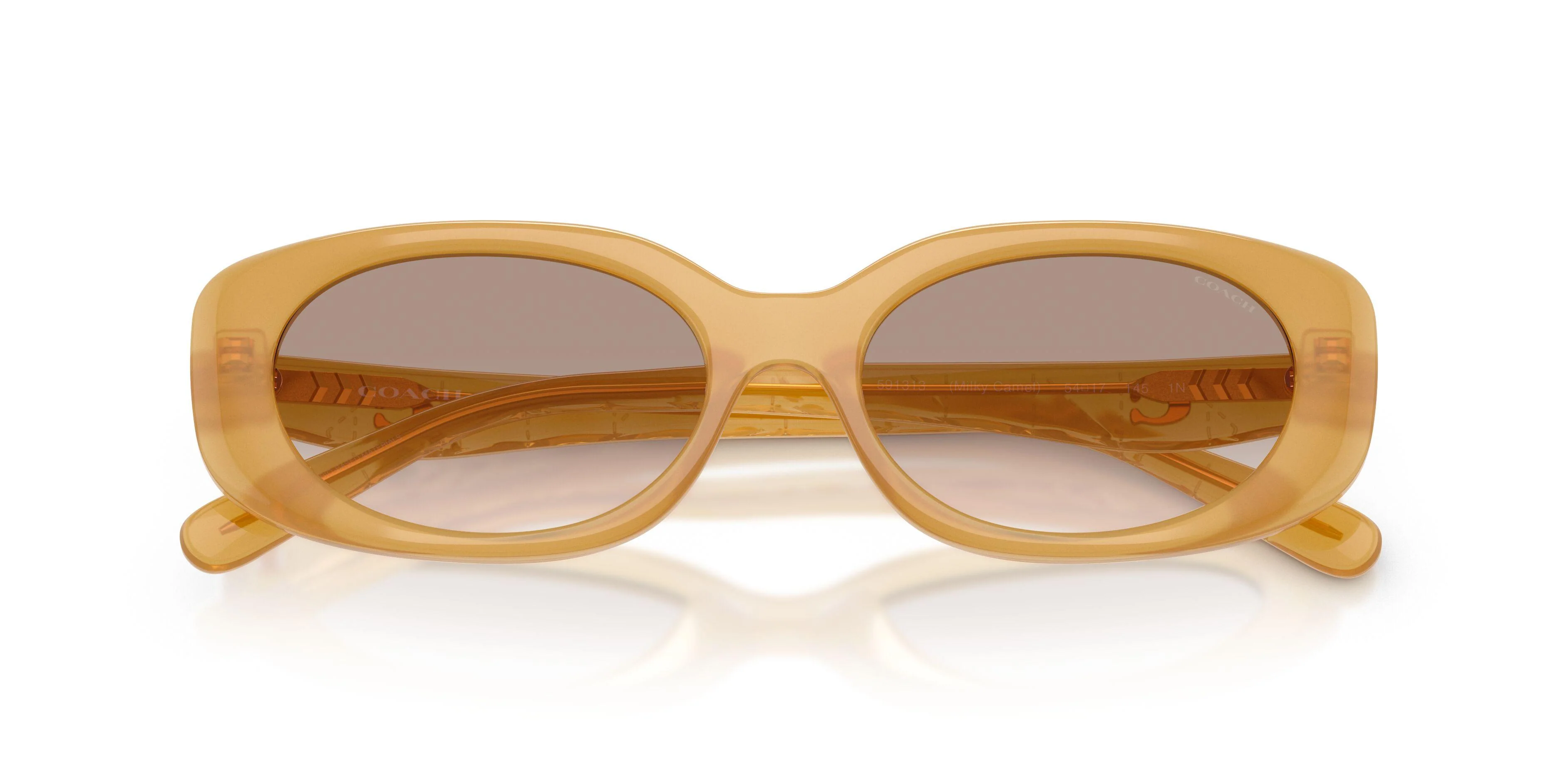 Coach Cby84 8443D Sunglasses - Image 14