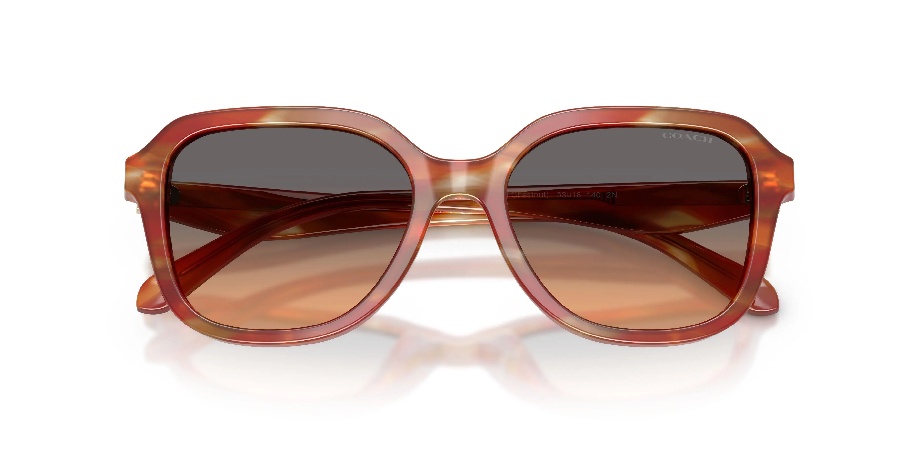Coach Cby87 8437U Sunglasses - Image 10