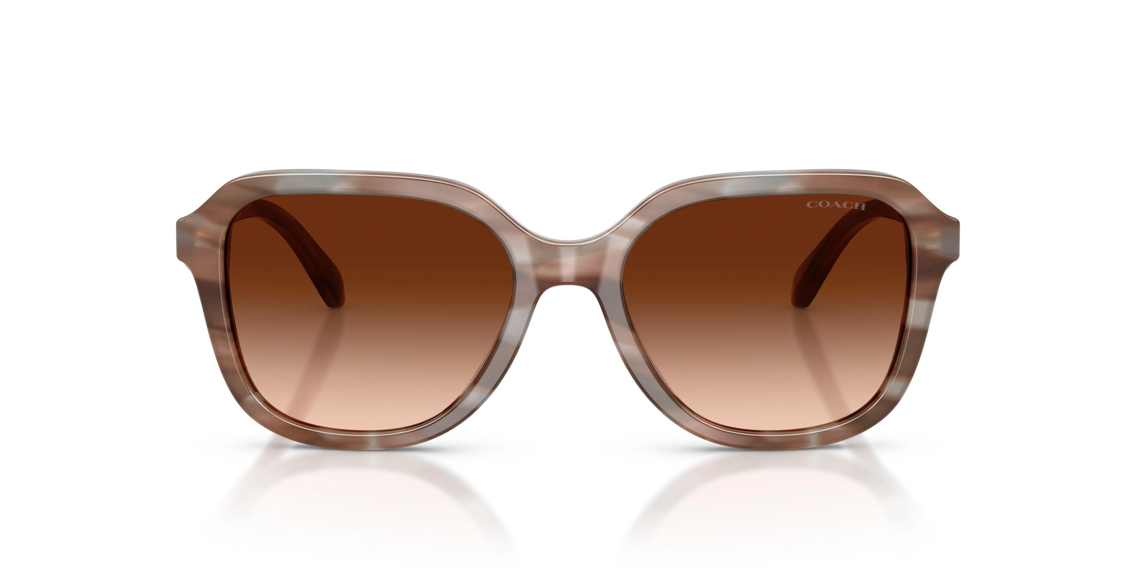 Coach Cby87 8437U Sunglasses - Image 14
