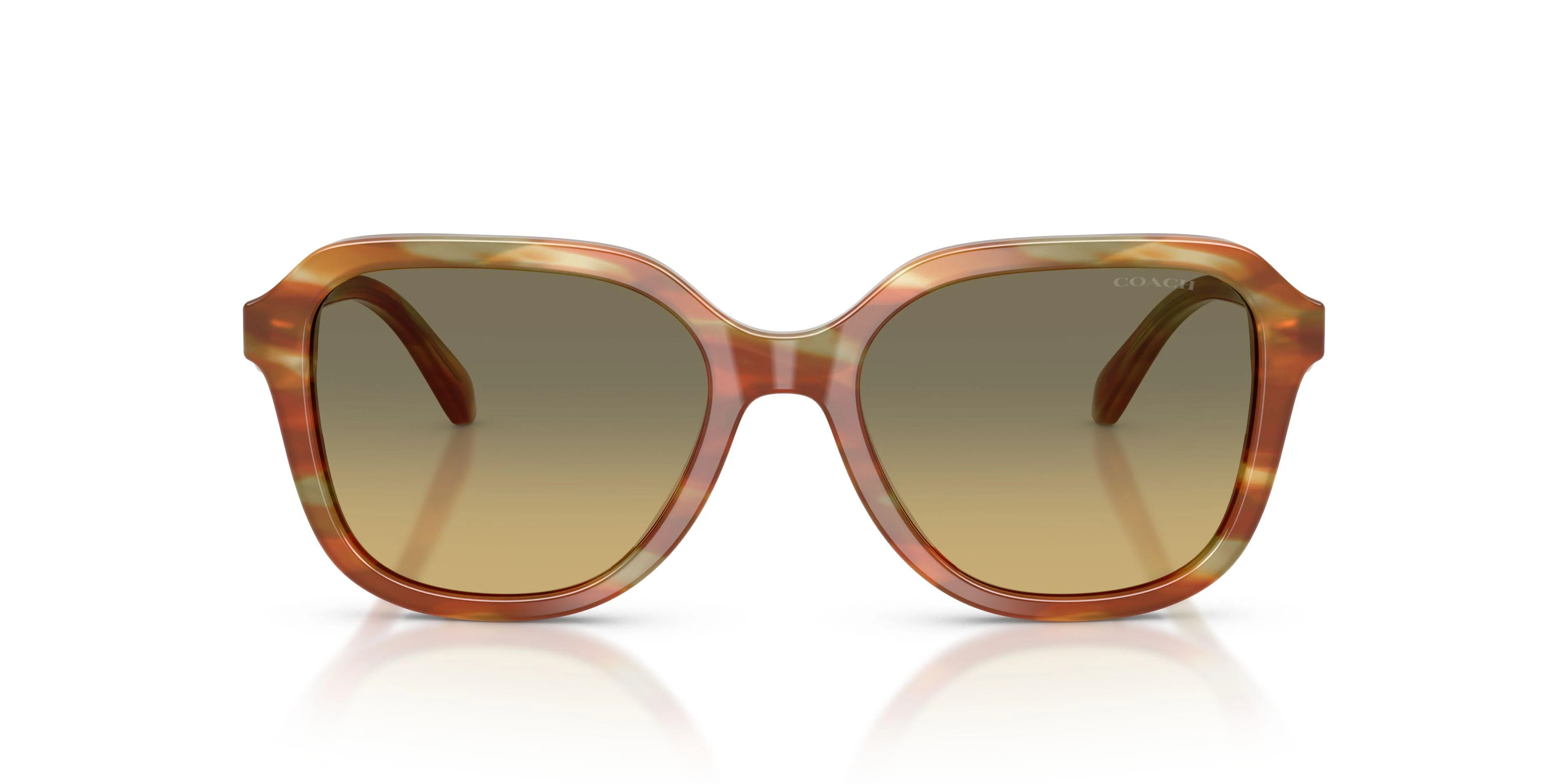 Coach Cby87 8437U Sunglasses - Image 24