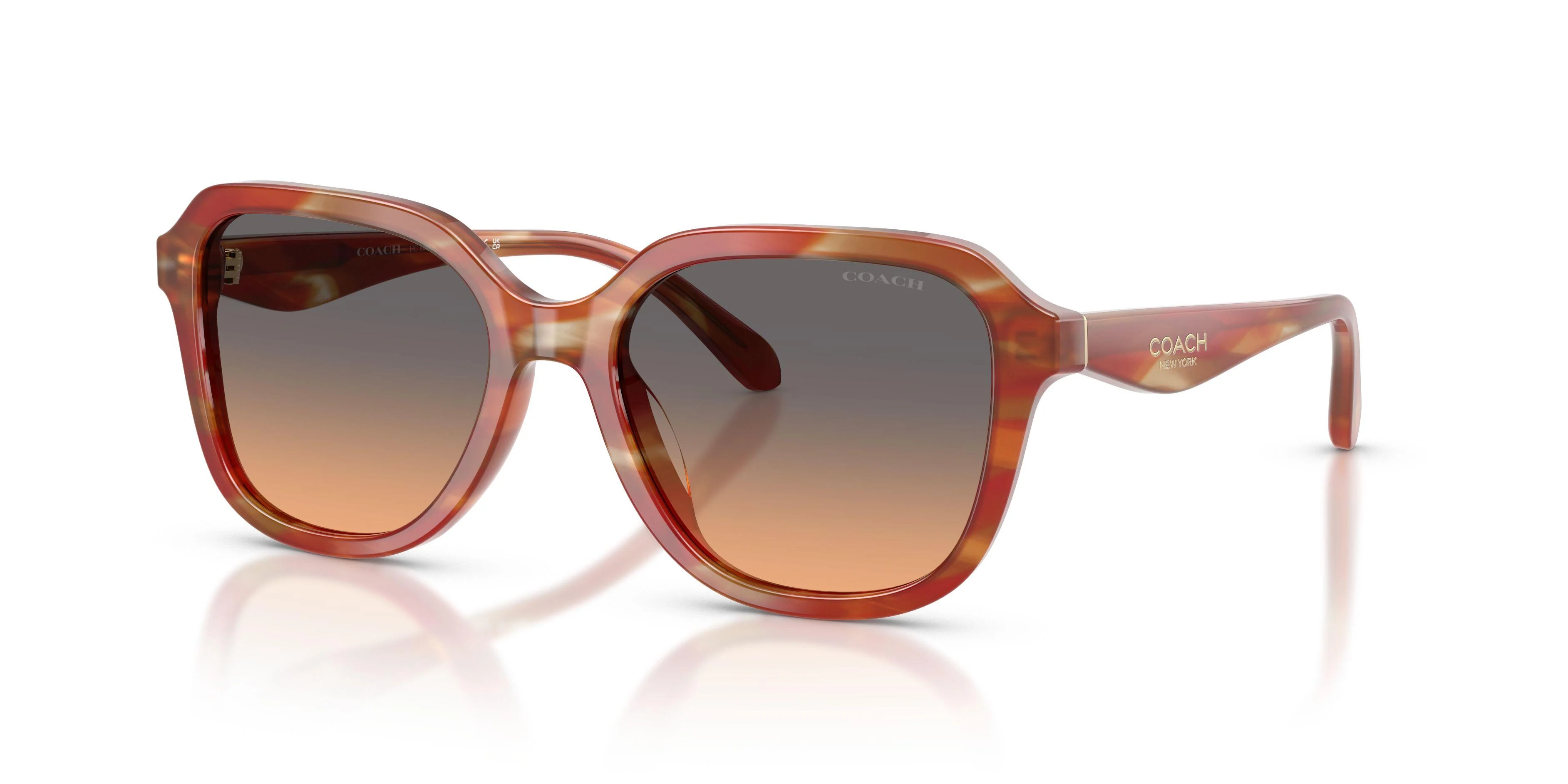 Coach Cby87 8437U Sunglasses - Image 6