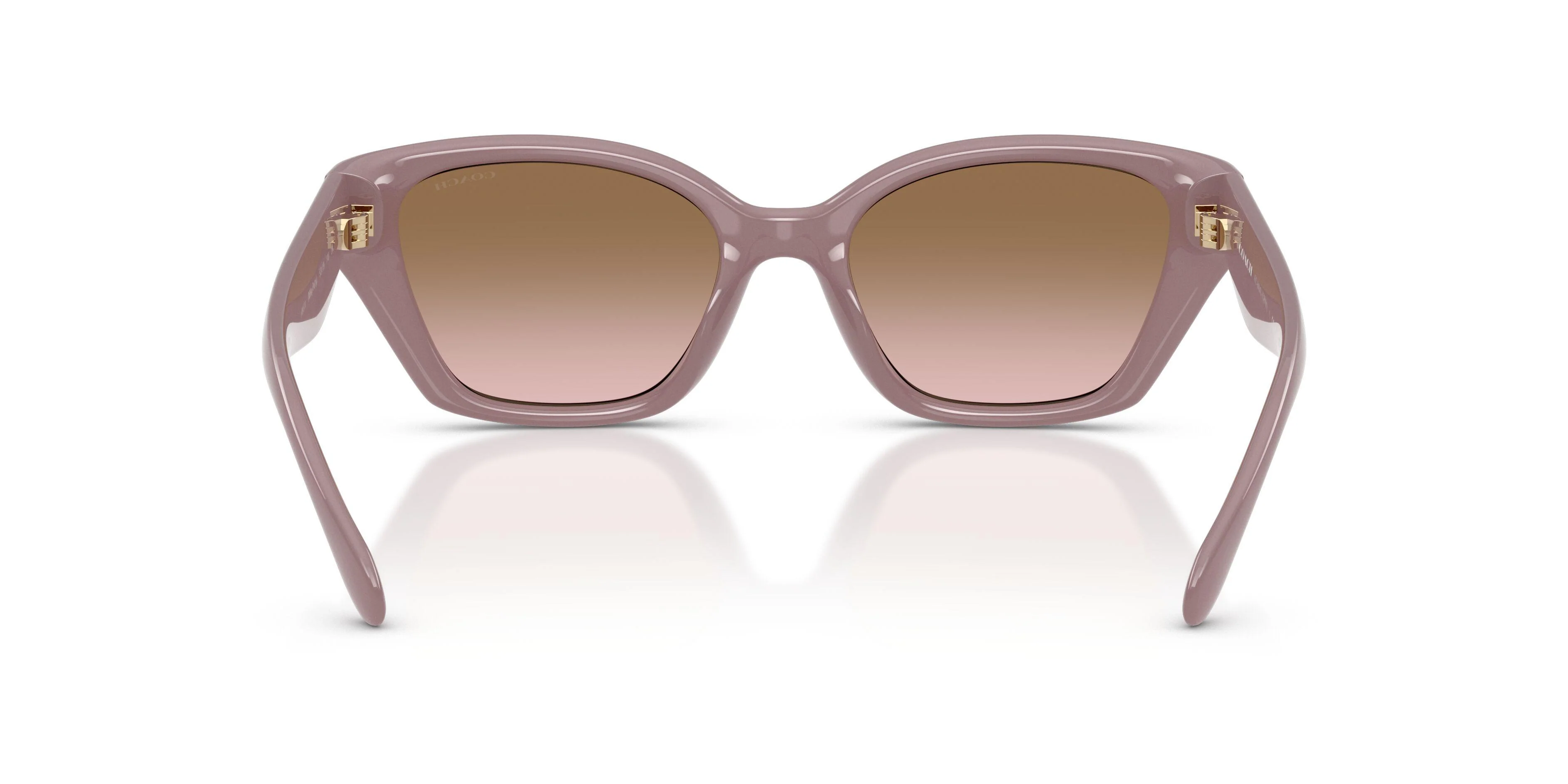 Coach Cby91 8434U Sunglasses - Image 14