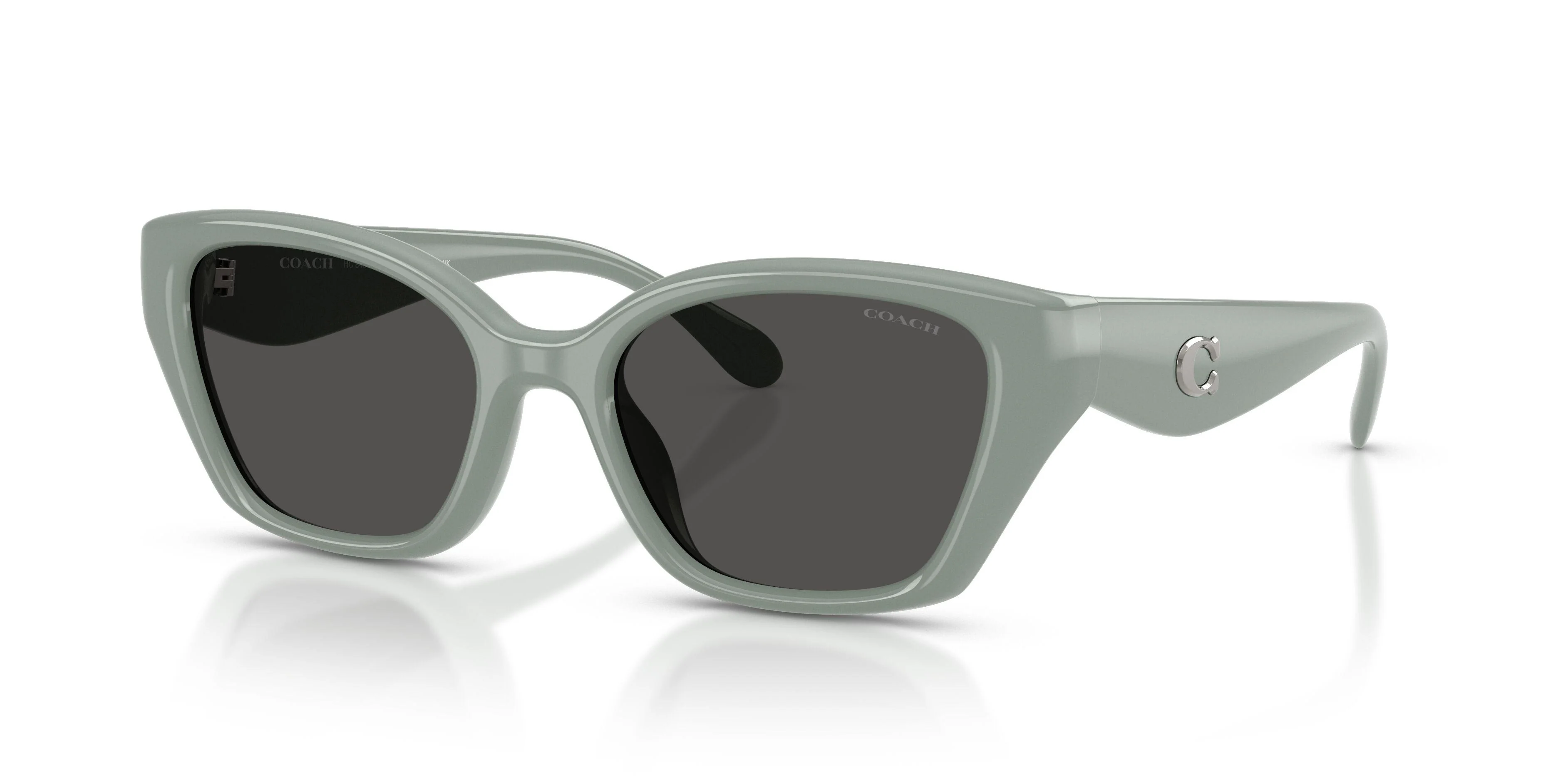 Coach Cby91 8434U Sunglasses - Image 32