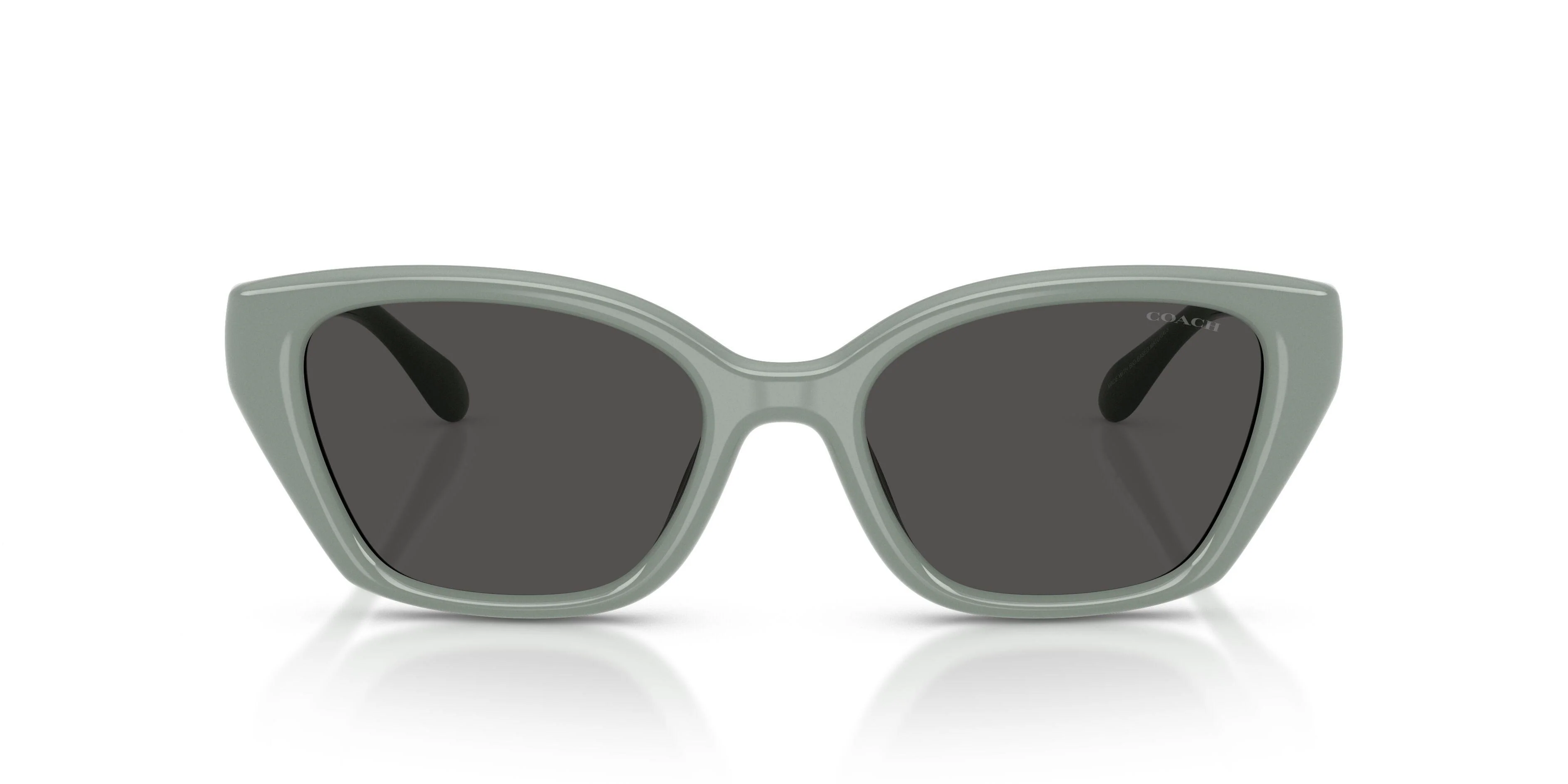 Coach Cby91 8434U Sunglasses - Image 35