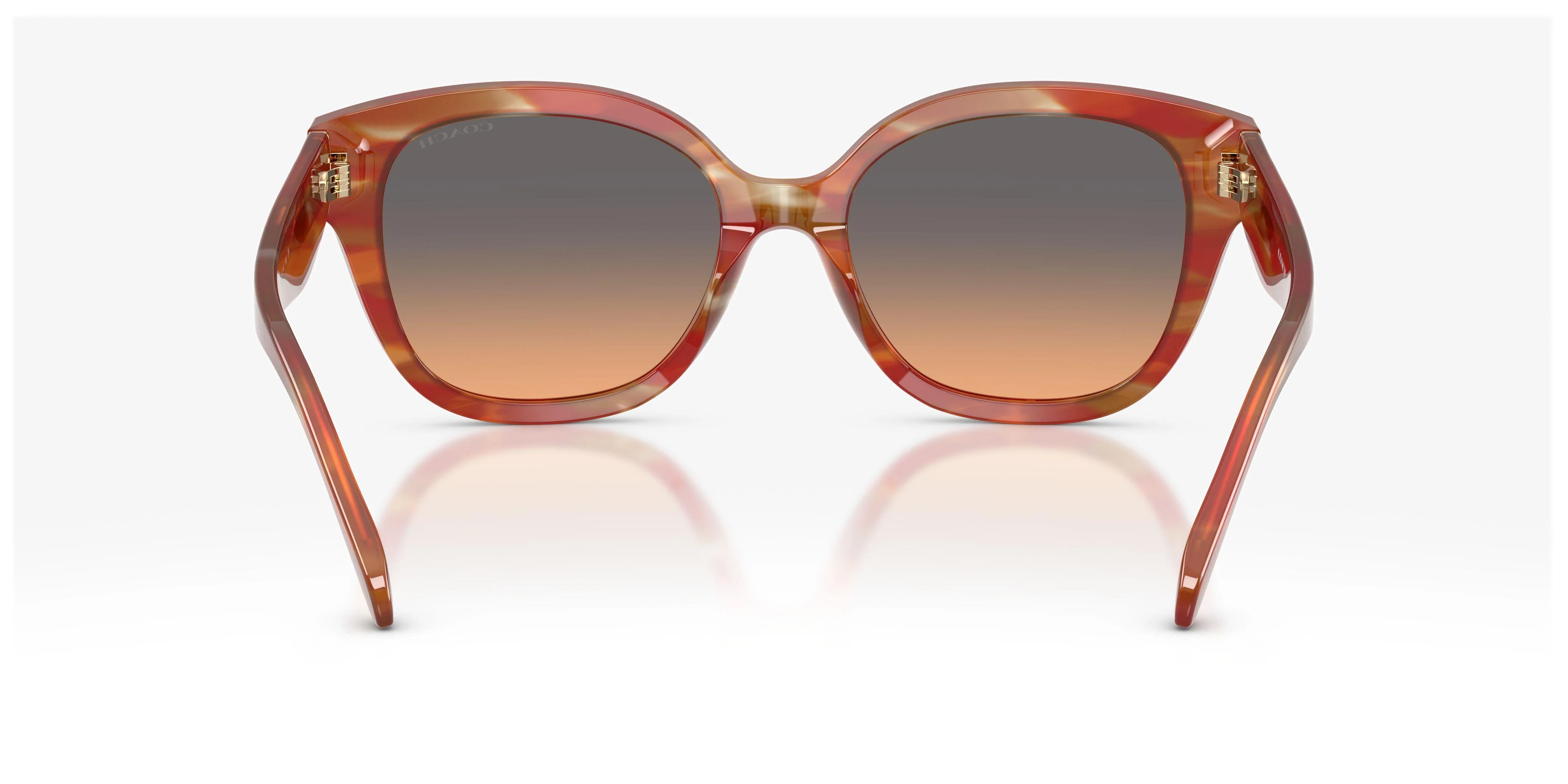 Coach Cby94 8438U Sunglasses - Image 18