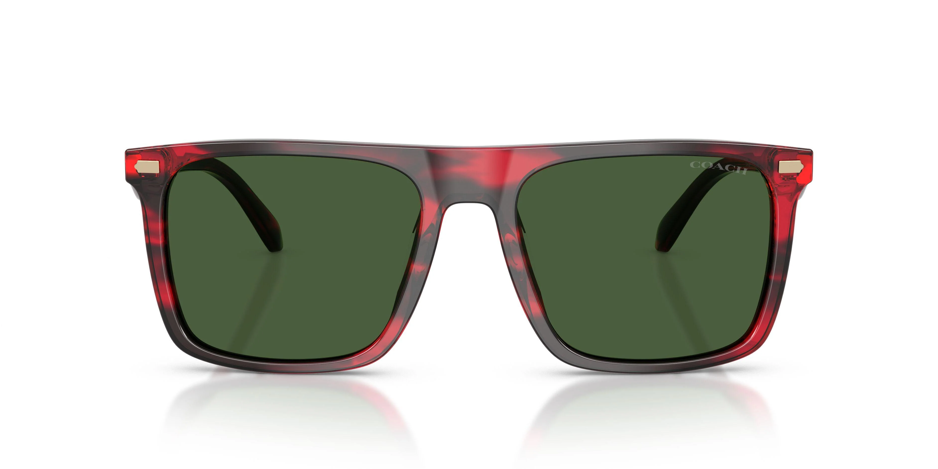 Coach Cby95 8440U Sunglasses - Image 18