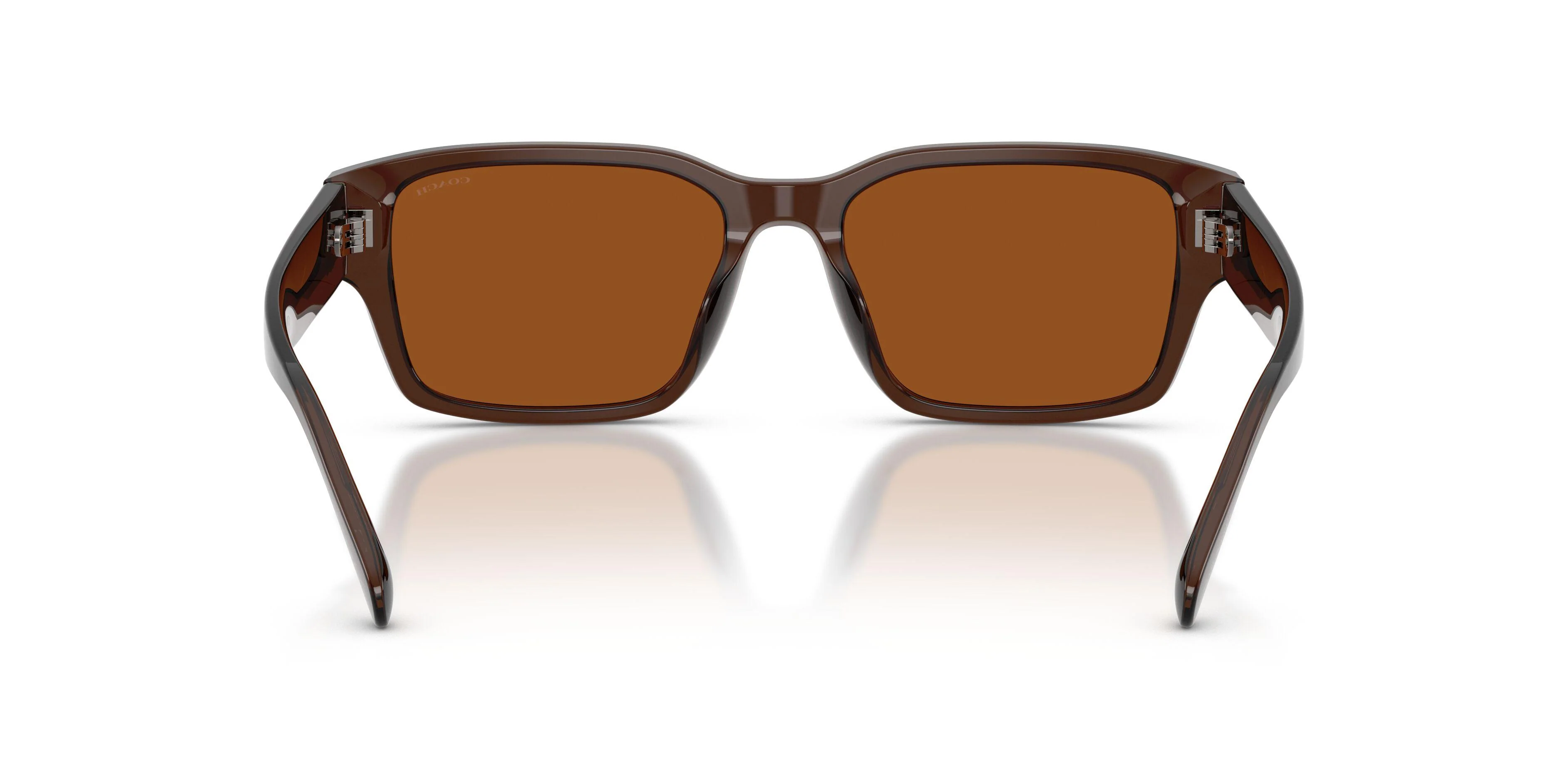 Coach Cby96 8441U Sunglasses - Image 7