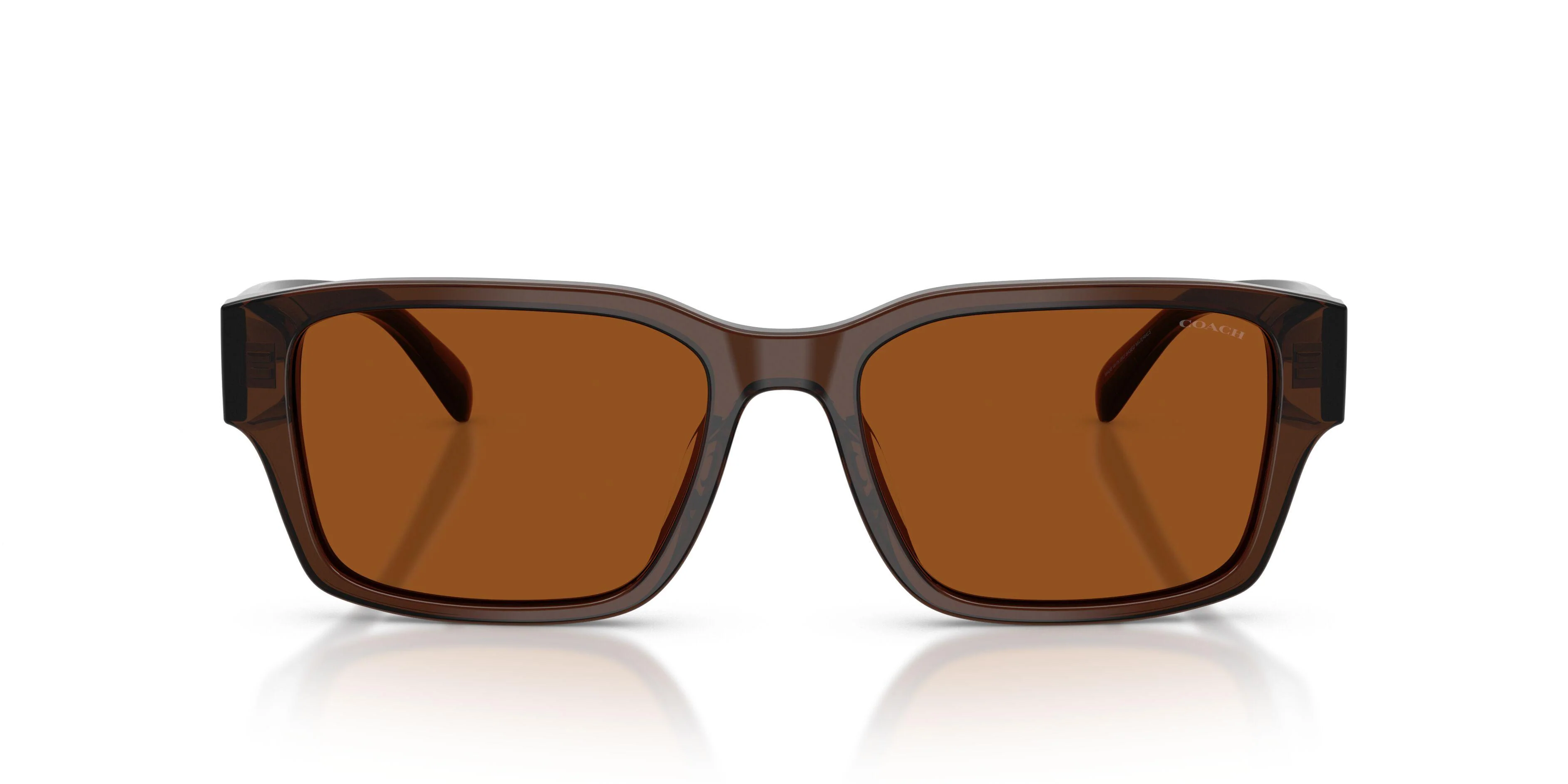 Coach Cby96 8441U Sunglasses - Image 8
