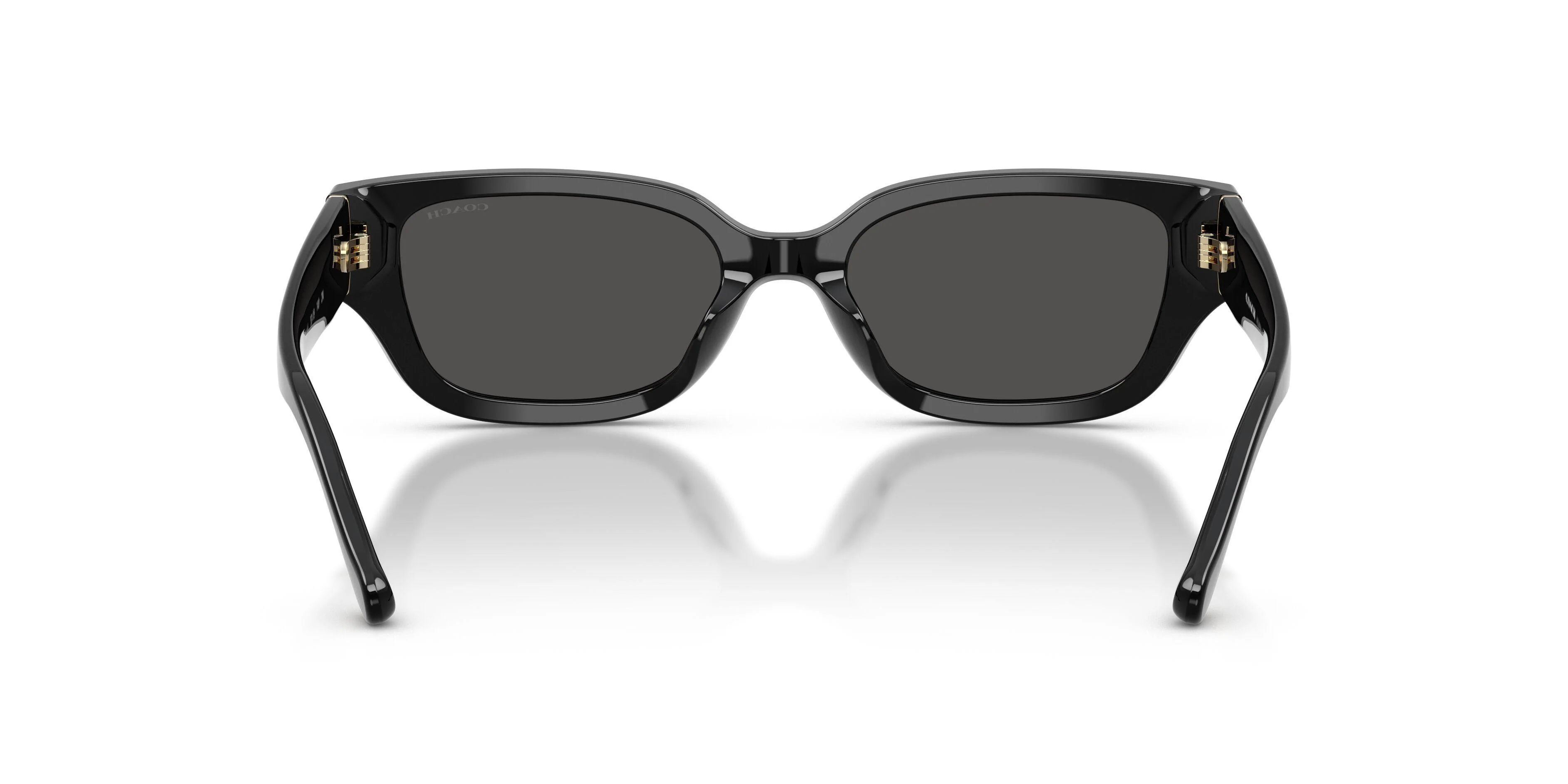 Coach Cbz52 8439U Sunglasses - Image 11