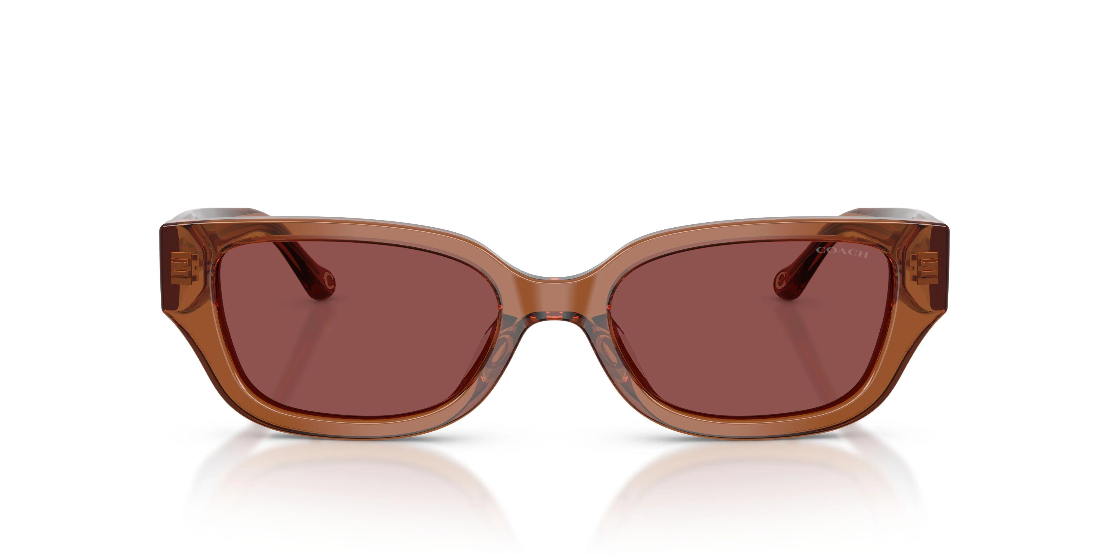 Coach Cbz52 8439U Sunglasses - Image 17