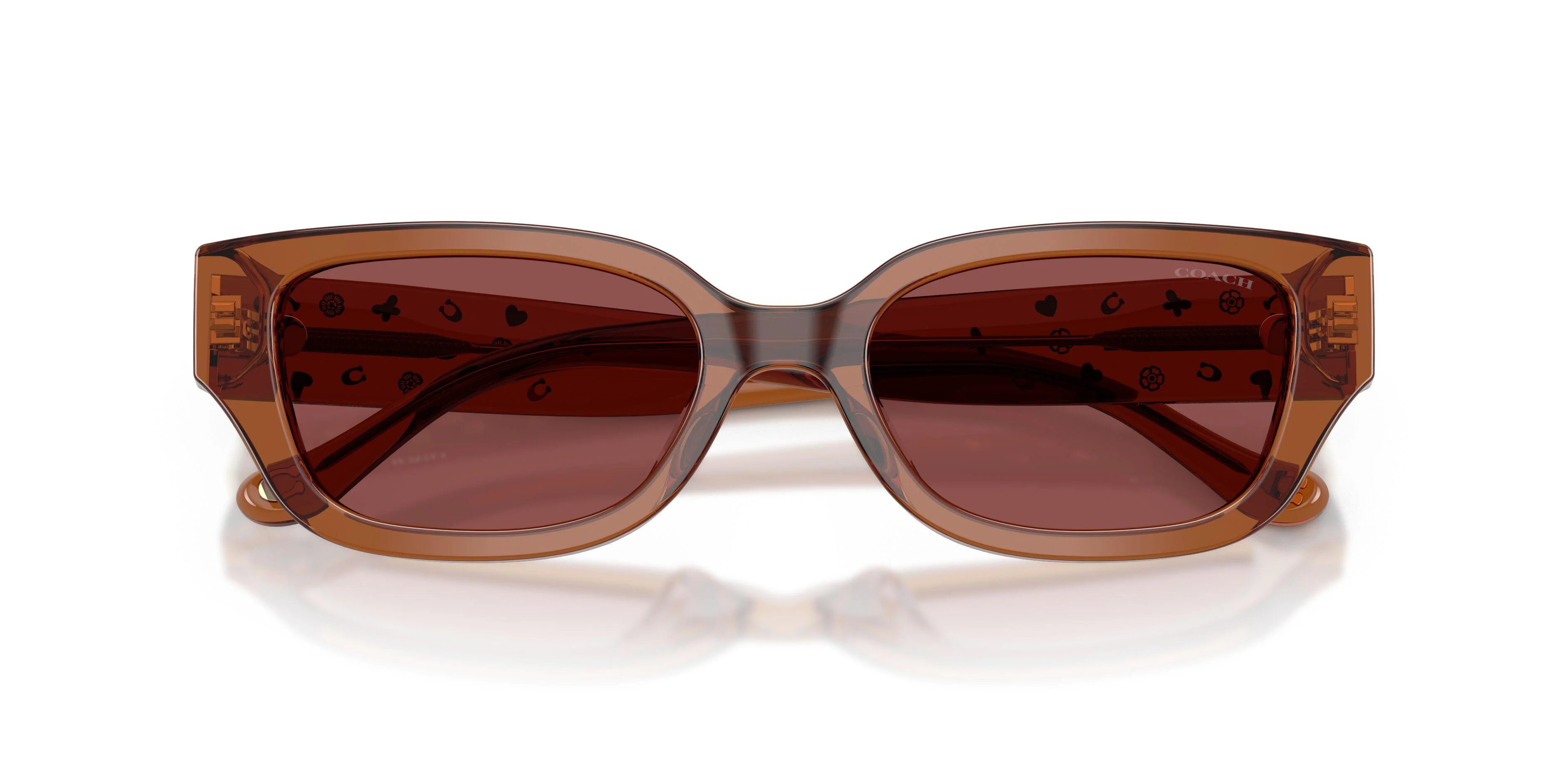Coach Cbz52 8439U Sunglasses - Image 18