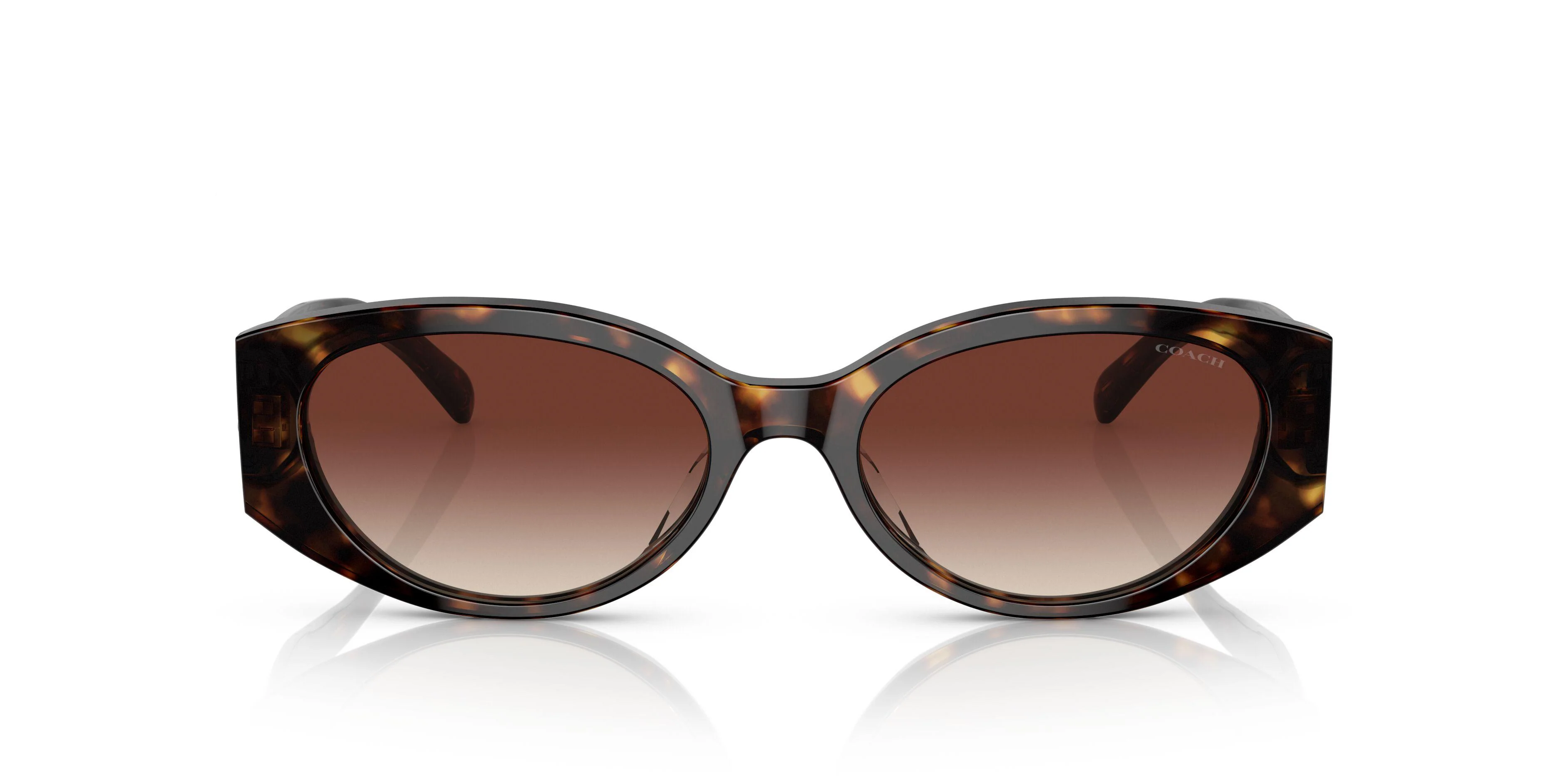 Coach Cd867 8353F Sunglasses - Image 12