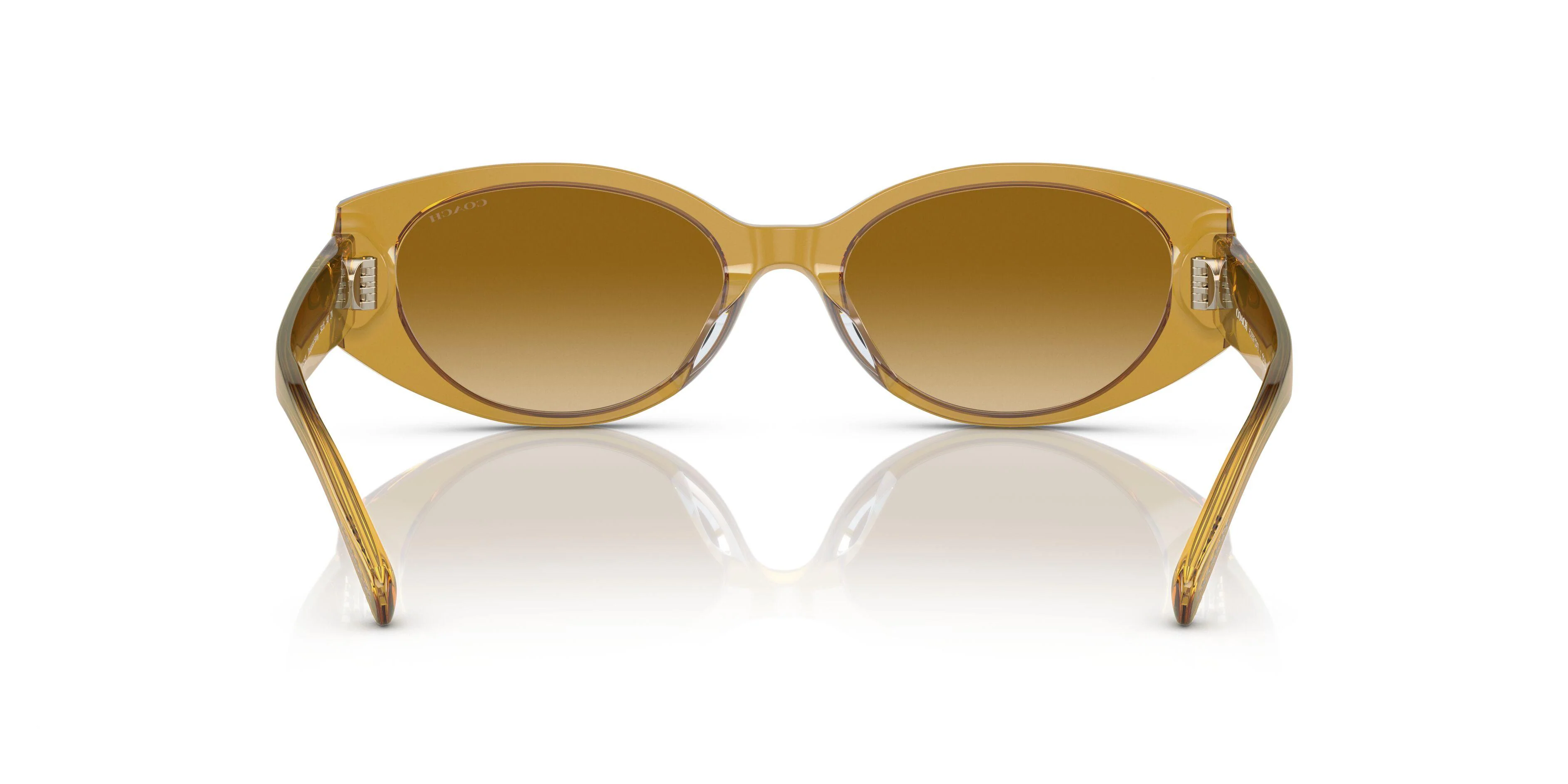Coach Cd867 8353F Sunglasses - Image 16