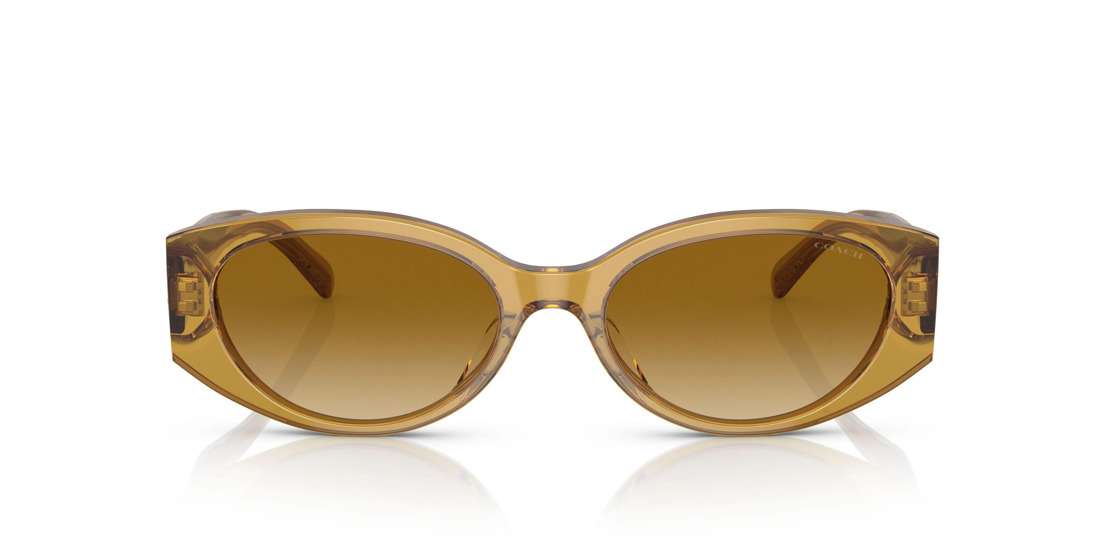 Coach Cd867 8353F Sunglasses - Image 17