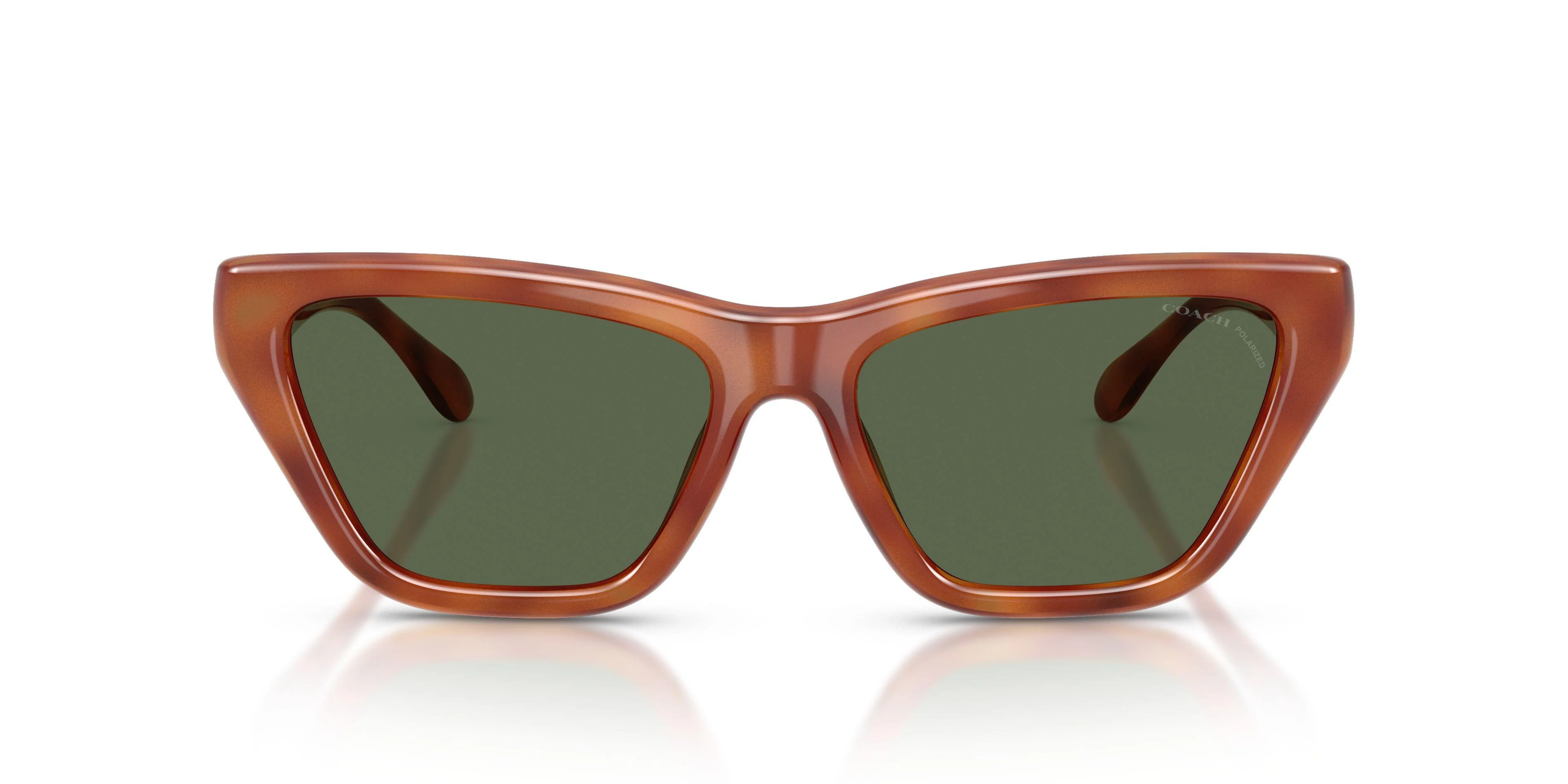 Coach Cdp33 8449U Sunglasses - Image 10