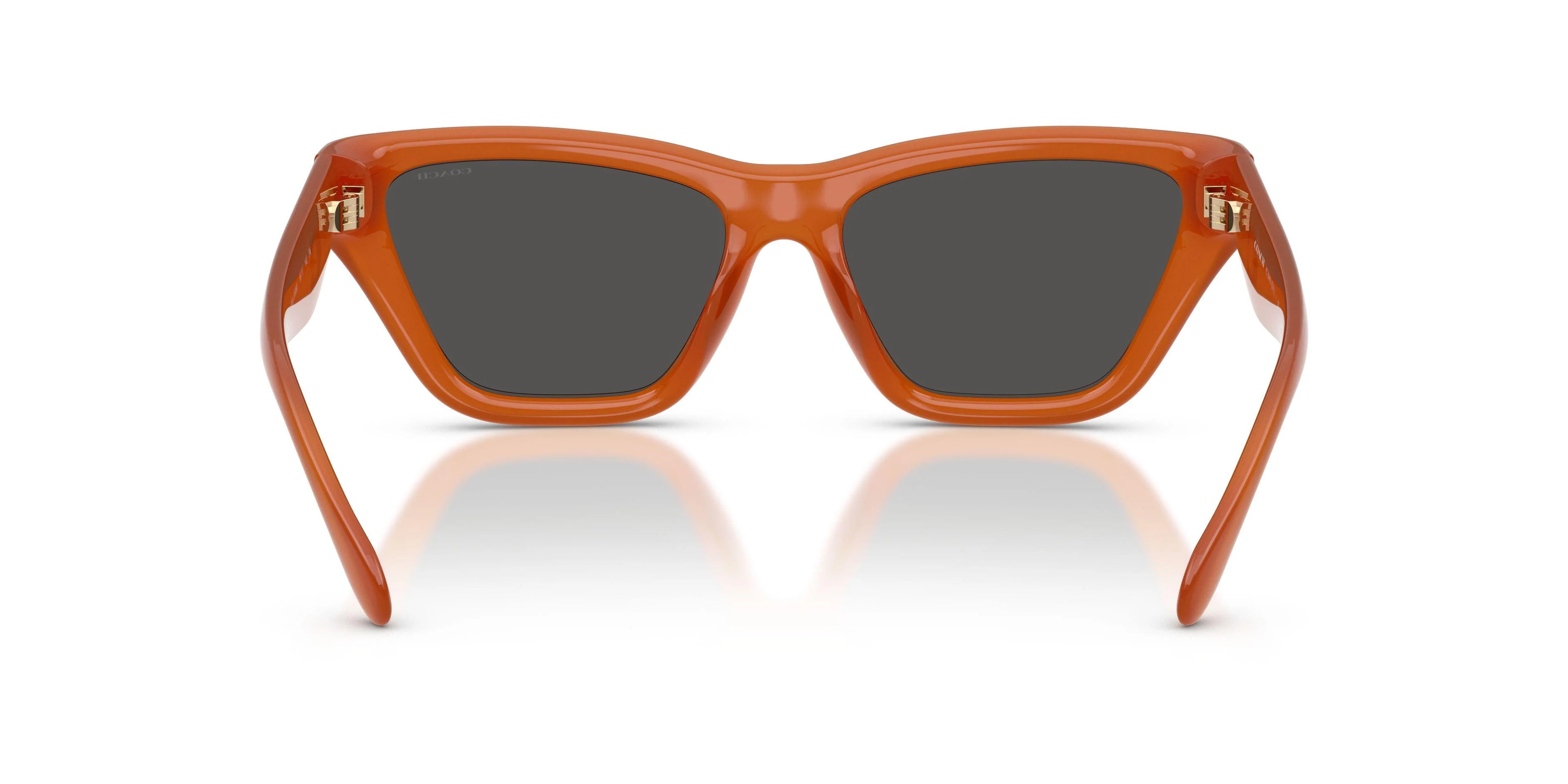 Coach Cdp33 8449U Sunglasses - Image 24