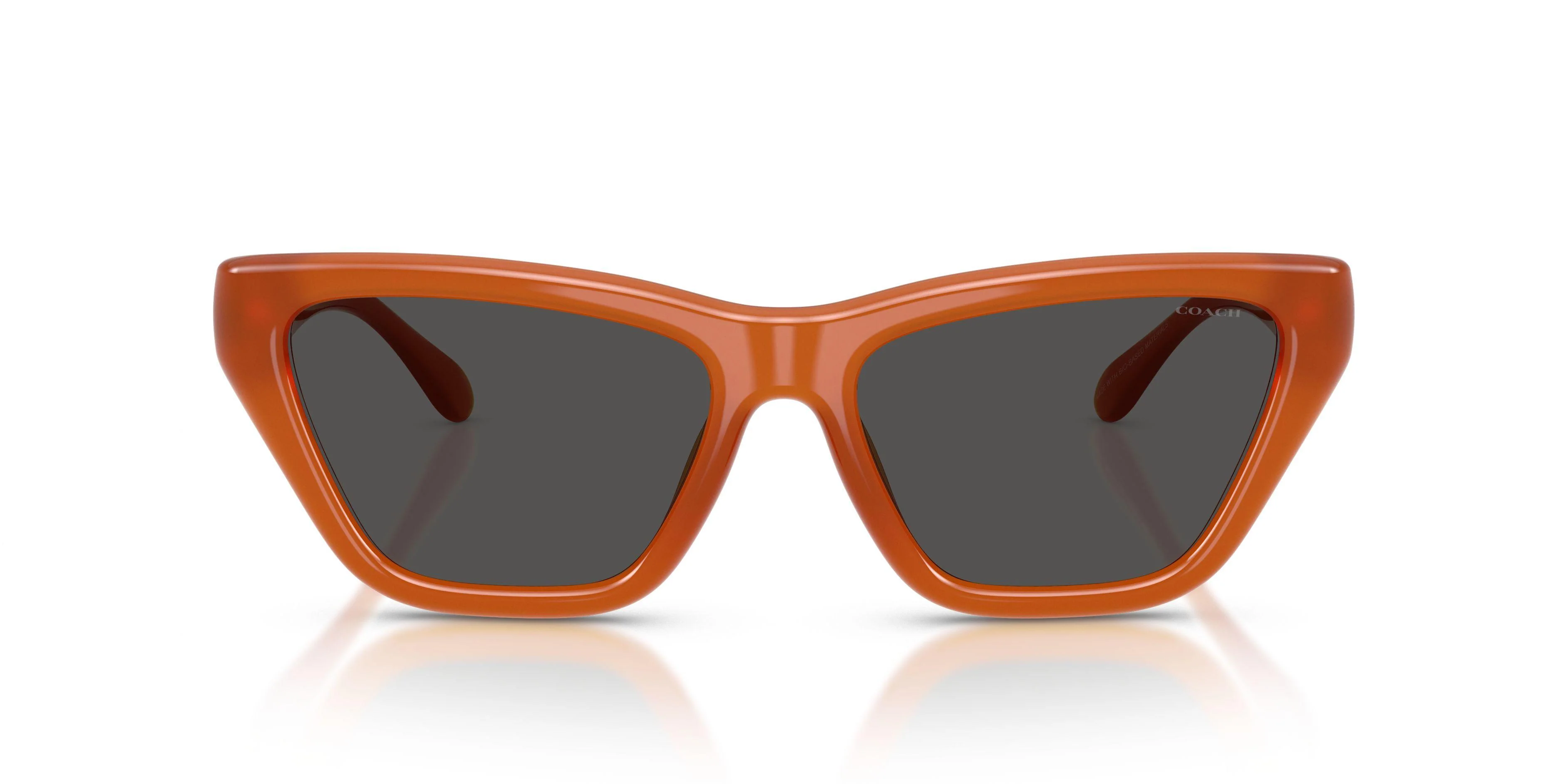 Coach Cdp33 8449U Sunglasses - Image 25