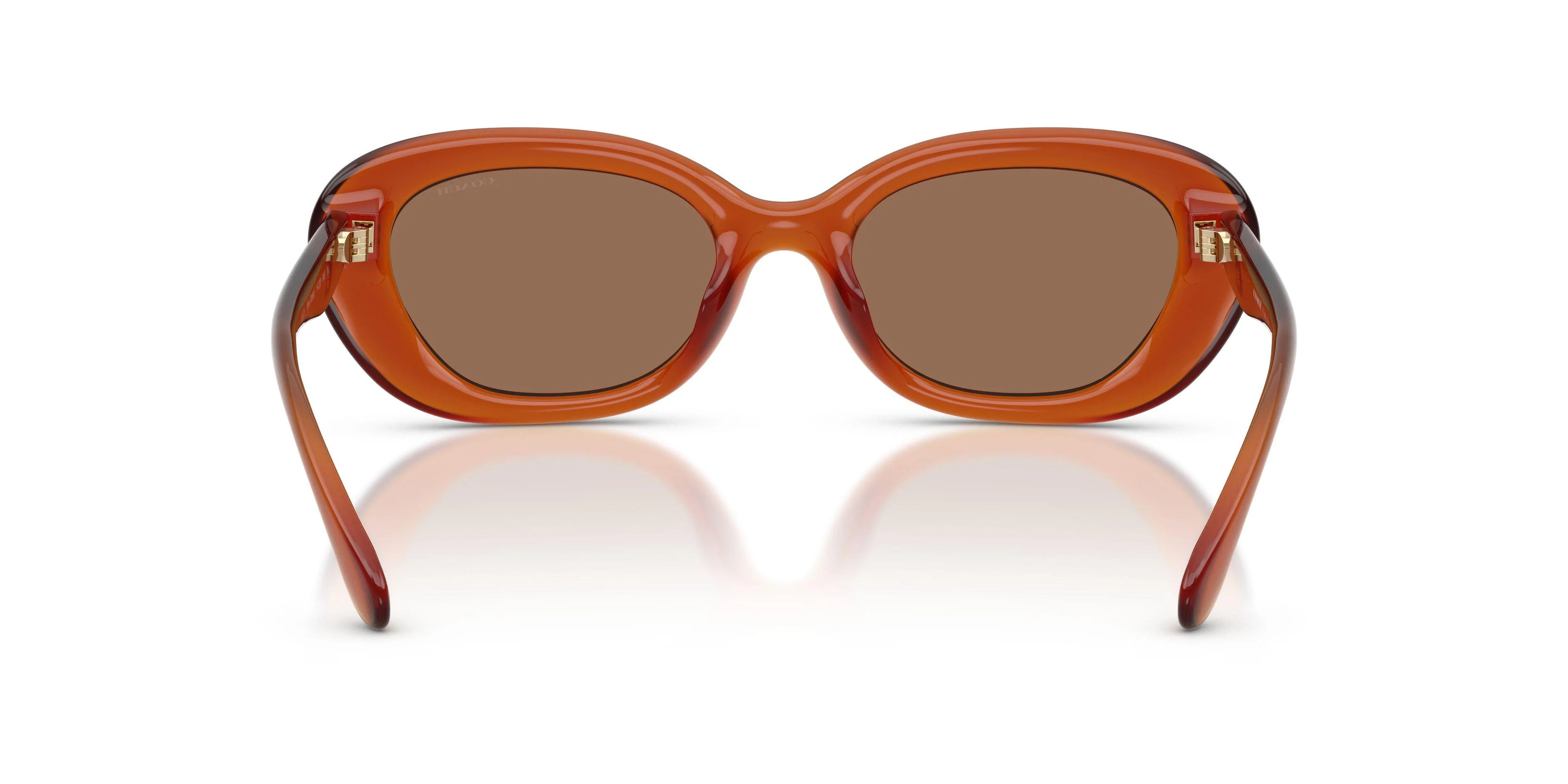 Coach Cdp35 8448U Sunglasses - Image 12