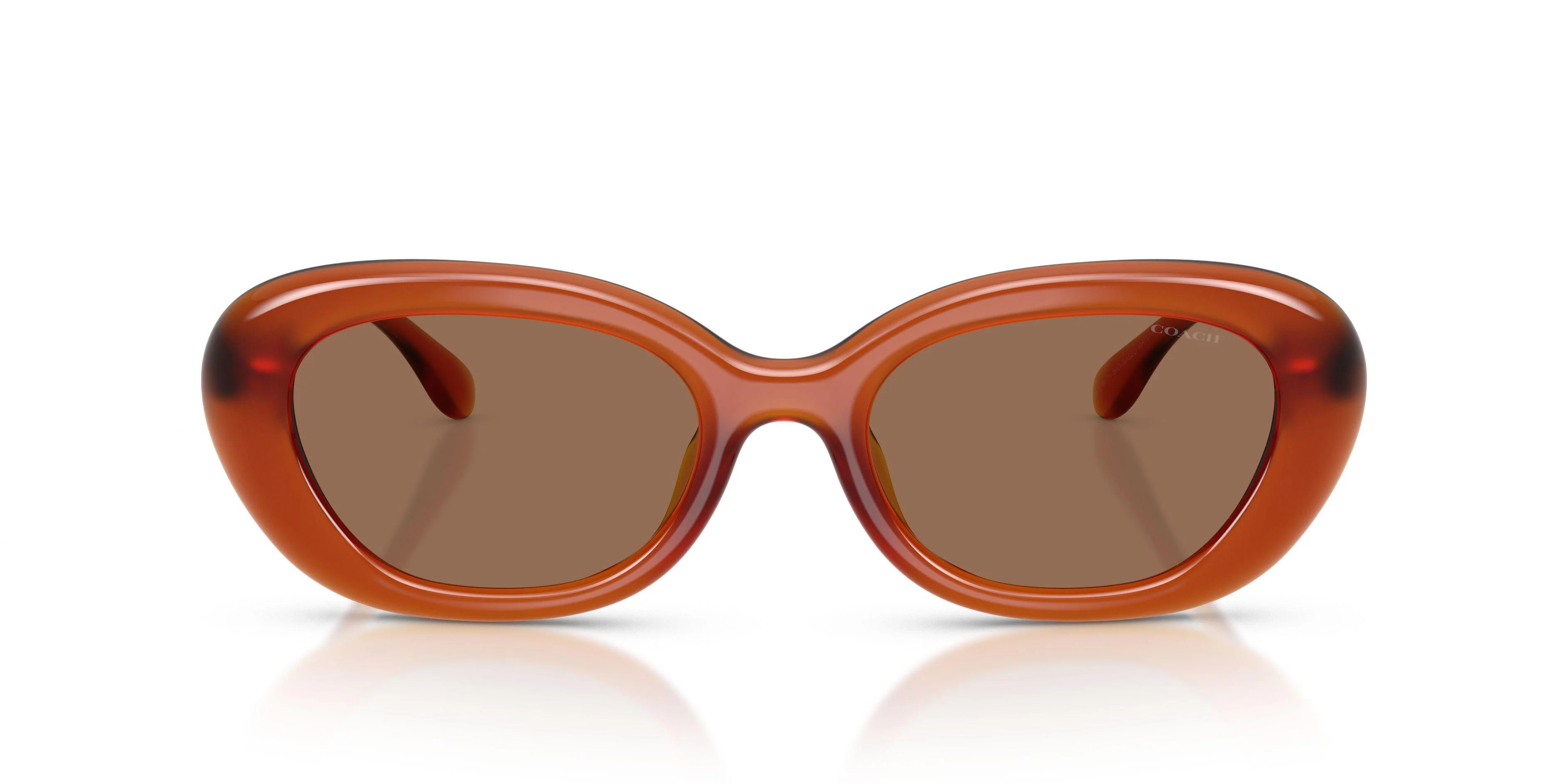 Coach Cdp35 8448U Sunglasses - Image 13