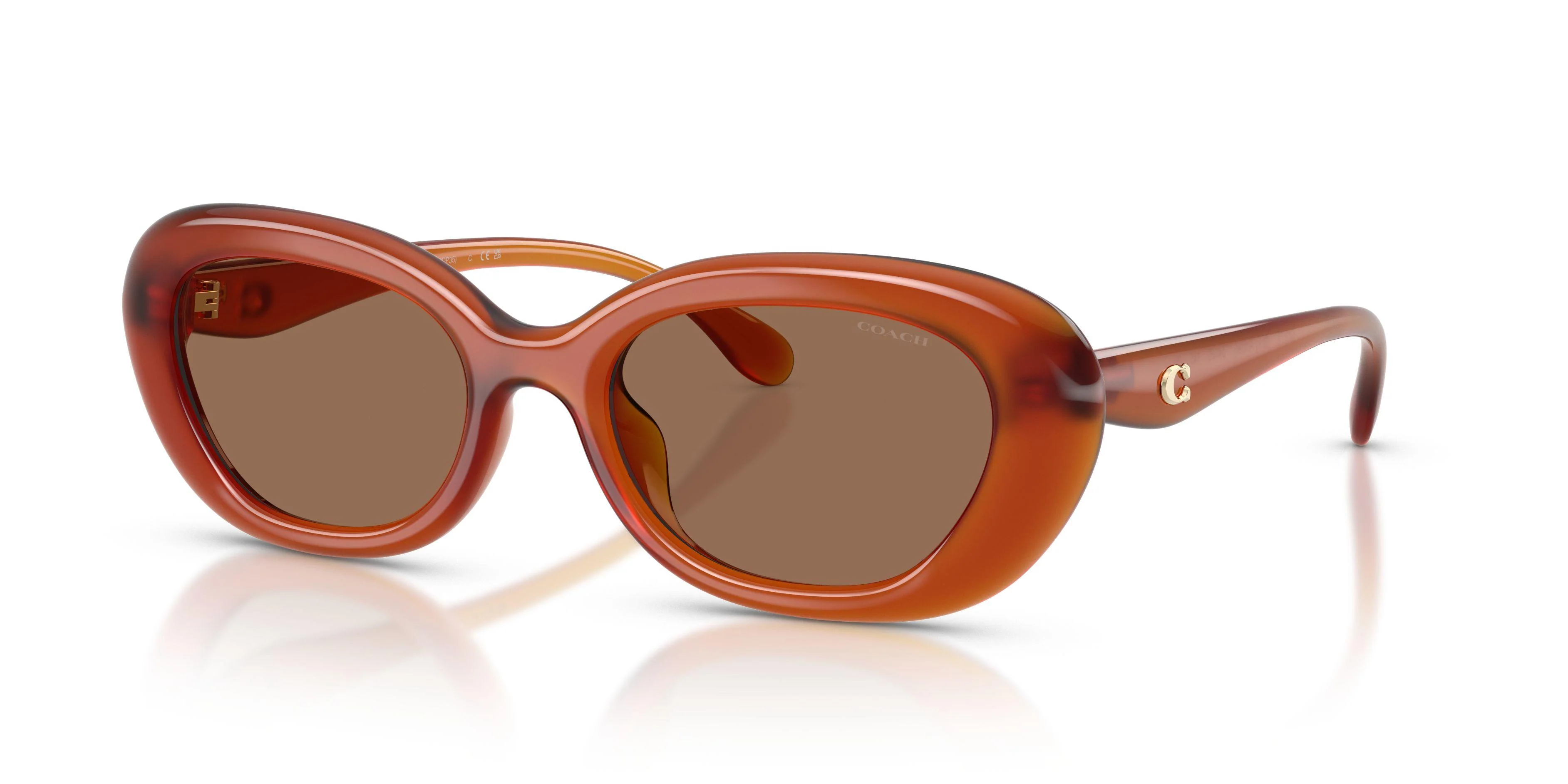 Coach Cdp35 8448U Sunglasses - Image 2