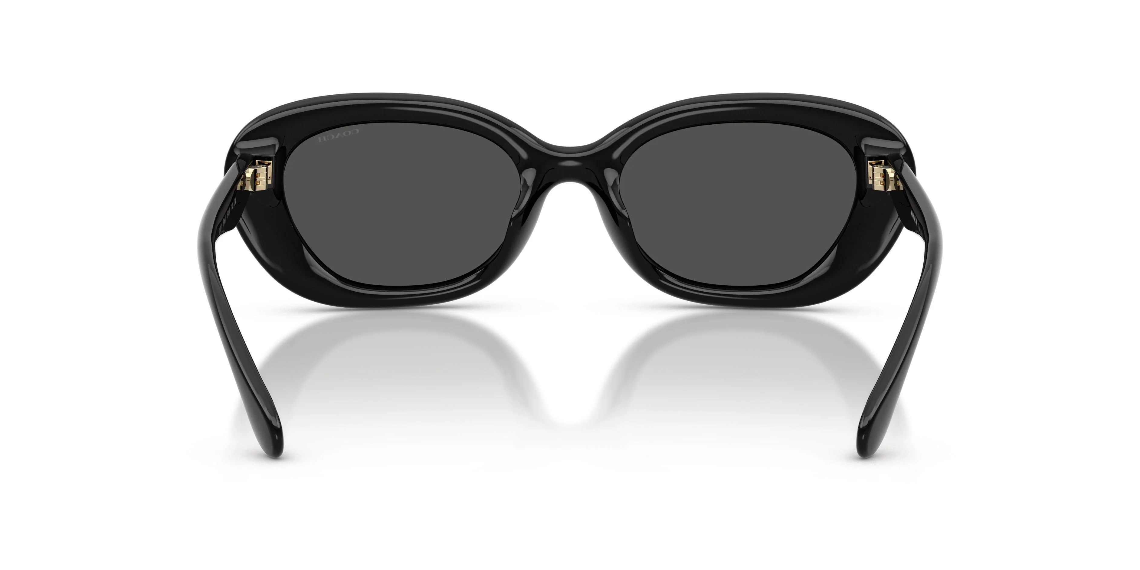 Coach Cdp35 8448U Sunglasses - Image 22