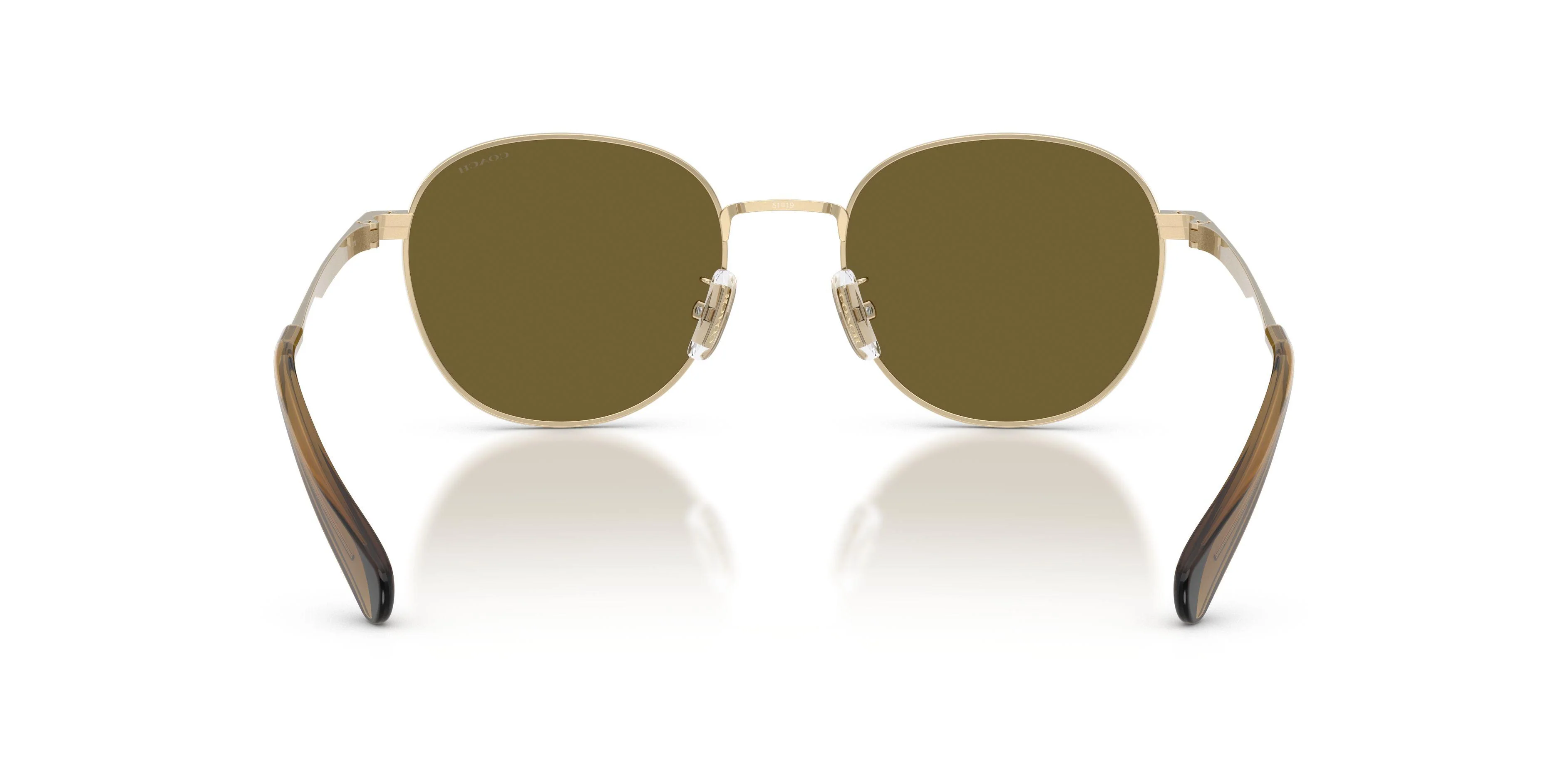 Coach Cdp36 7191 Sunglasses - Image 12